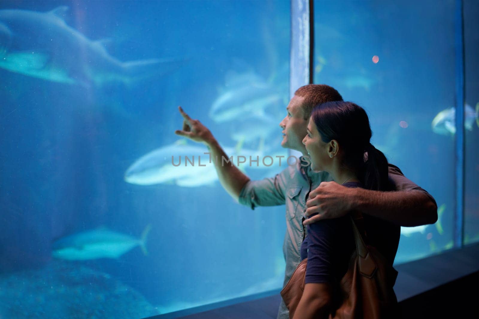 Smile, aquarium and couple pointing at fish on vacation, holiday or date together. Happiness, oceanarium and man and woman watching marine life, animals swimming underwater in fishtank and hugging by YuriArcurs