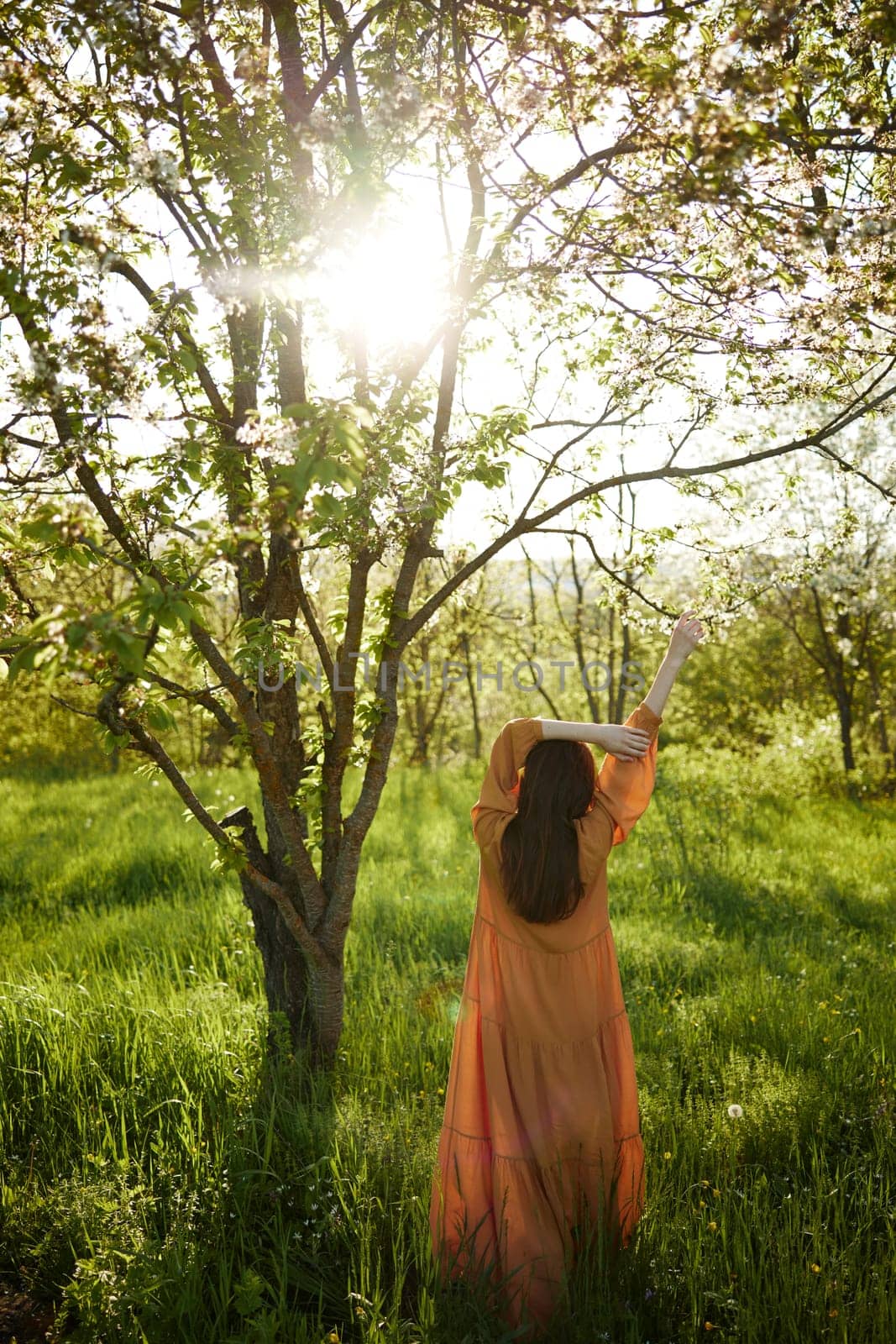 a beautiful, joyful woman stands in a long orange dress, in the countryside, near a tree blooming with white flowers, during sunset, illuminated from behind and raises her hands up while standing with her back to the camera. High quality photo