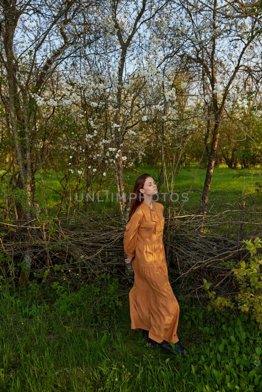 an elegant, sophisticated woman poses relaxed standing near a wicker fence at the dacha in a long orange dress enjoying the silence and peace. High quality photo