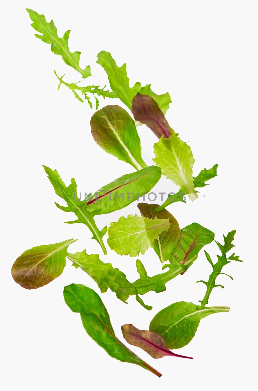 Green lettuce salad leaves pouring down isolated on white background by aprilphoto