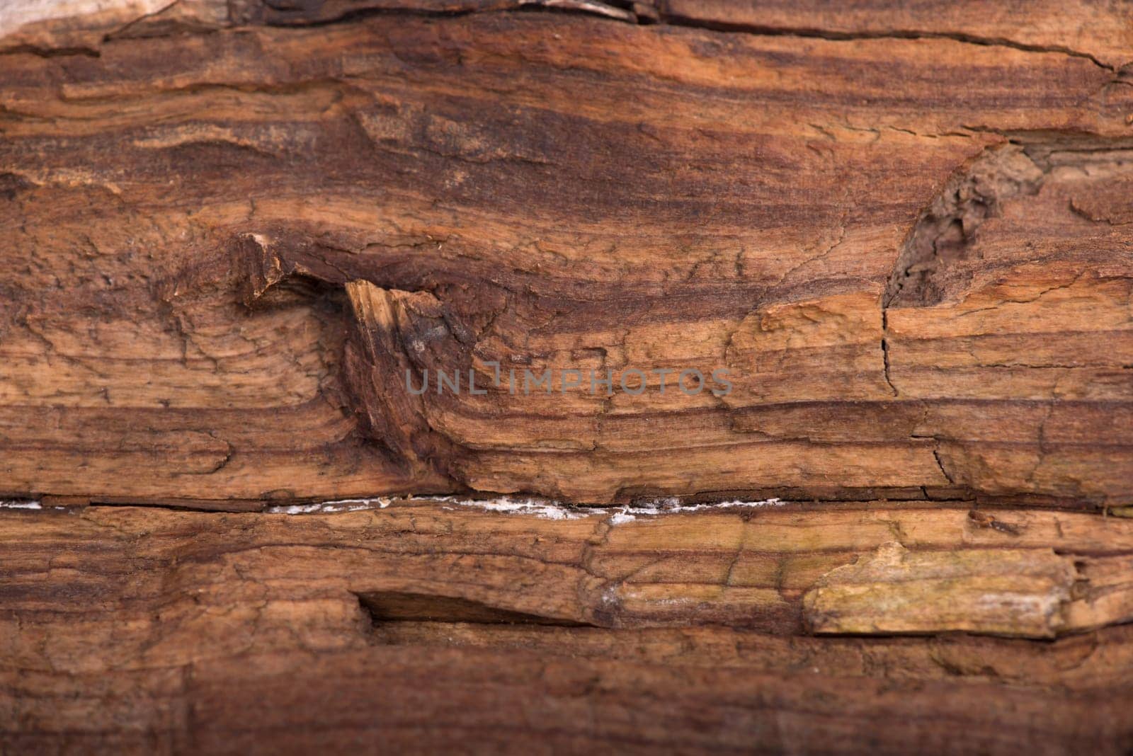 texture wood use as natural background by aprilphoto
