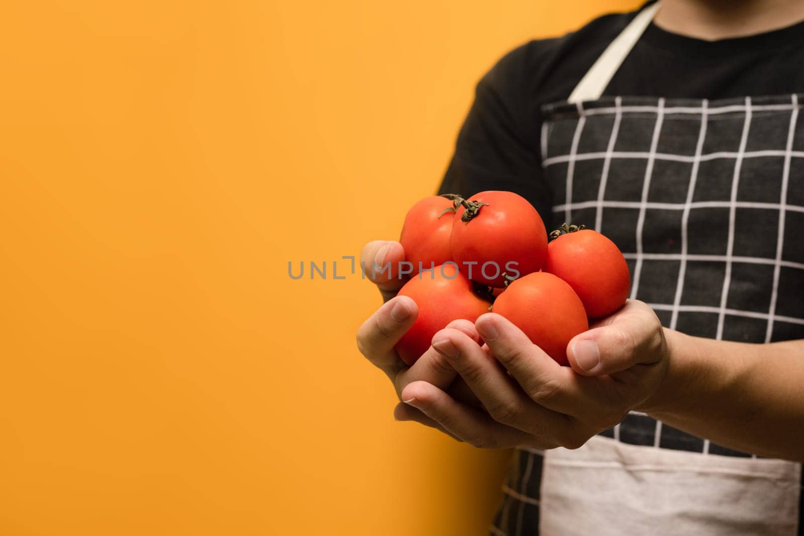 Man Unrecognizable wearing apron holding fresh organic tomatoes on yellow background. Vegetables and healthy food concept.