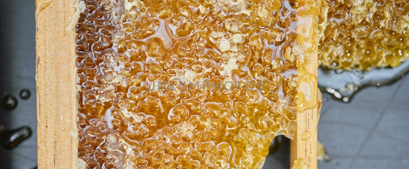 Honey, natural and product, liquid and gold with beekeeping, farming and production process. Agriculture, bee farming and food texture, sweet syrup zoom and honeycomb with wood frame and healthy