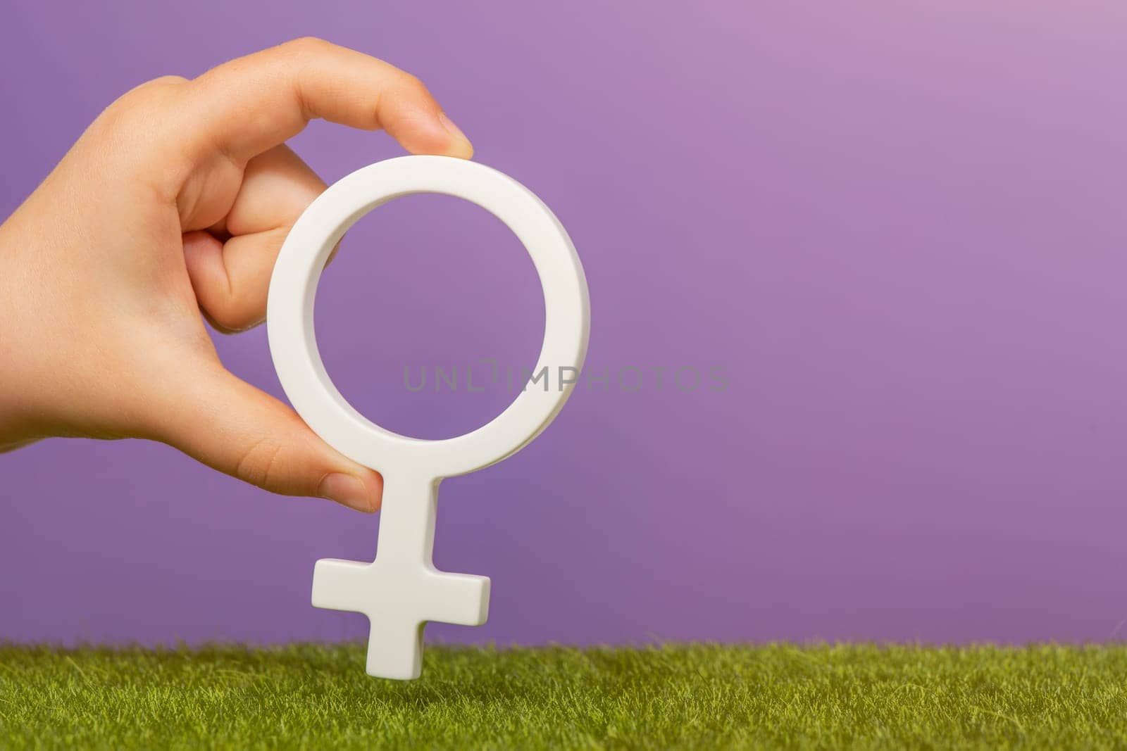 Gender symbol of a woman. Woman symbol in hands on purple background with copy space. The concept of a woman leader or gender equality. by SERSOL