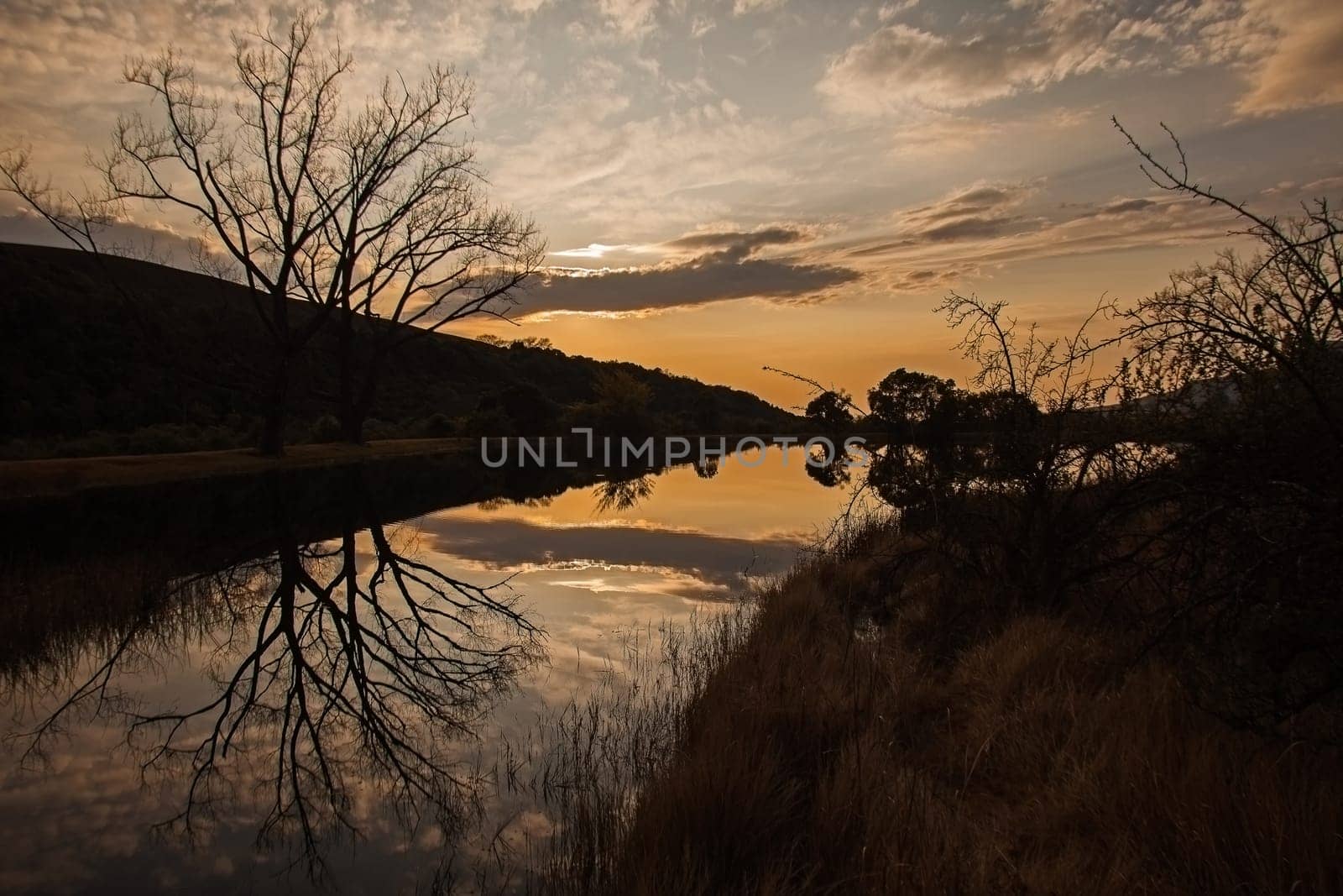 Dawn reflections of clouds and trees in a calm Drakensberg lake in Royal Natal National Park. KwaZulu-Natal. South Africa