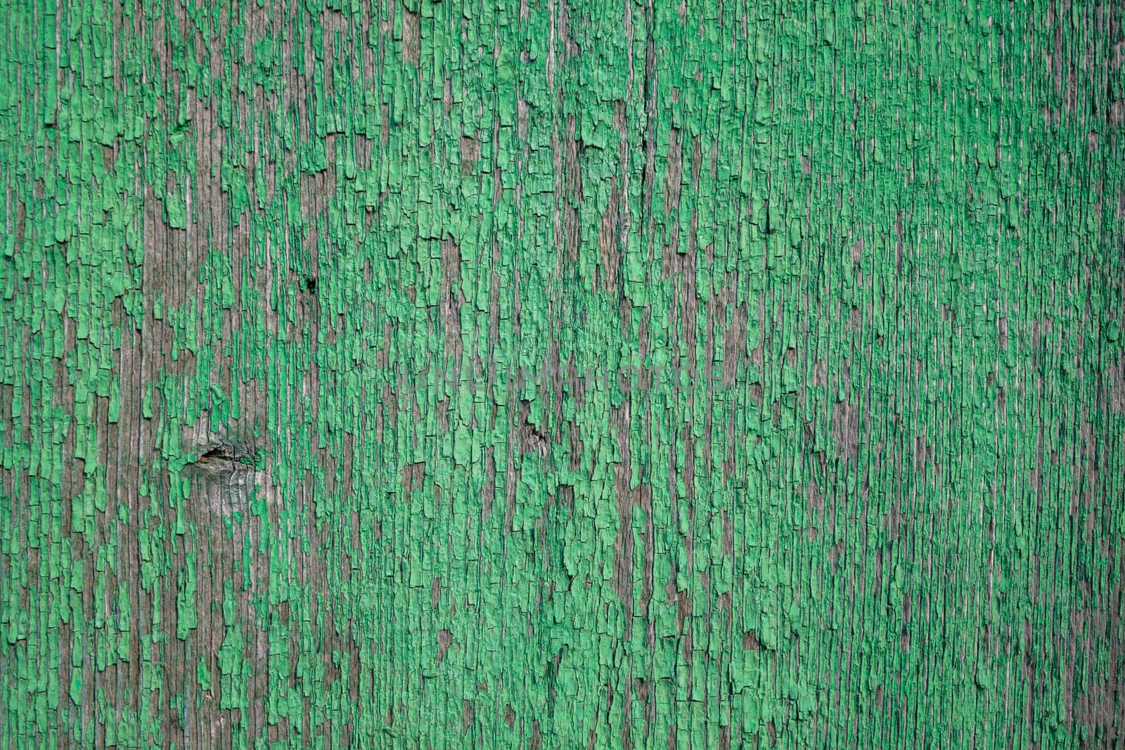 Wood texture with green flaked paint. Peeling paint on weathered wood. Old cracked paint pattern on rusty background. Chapped paint on an old wooden surface