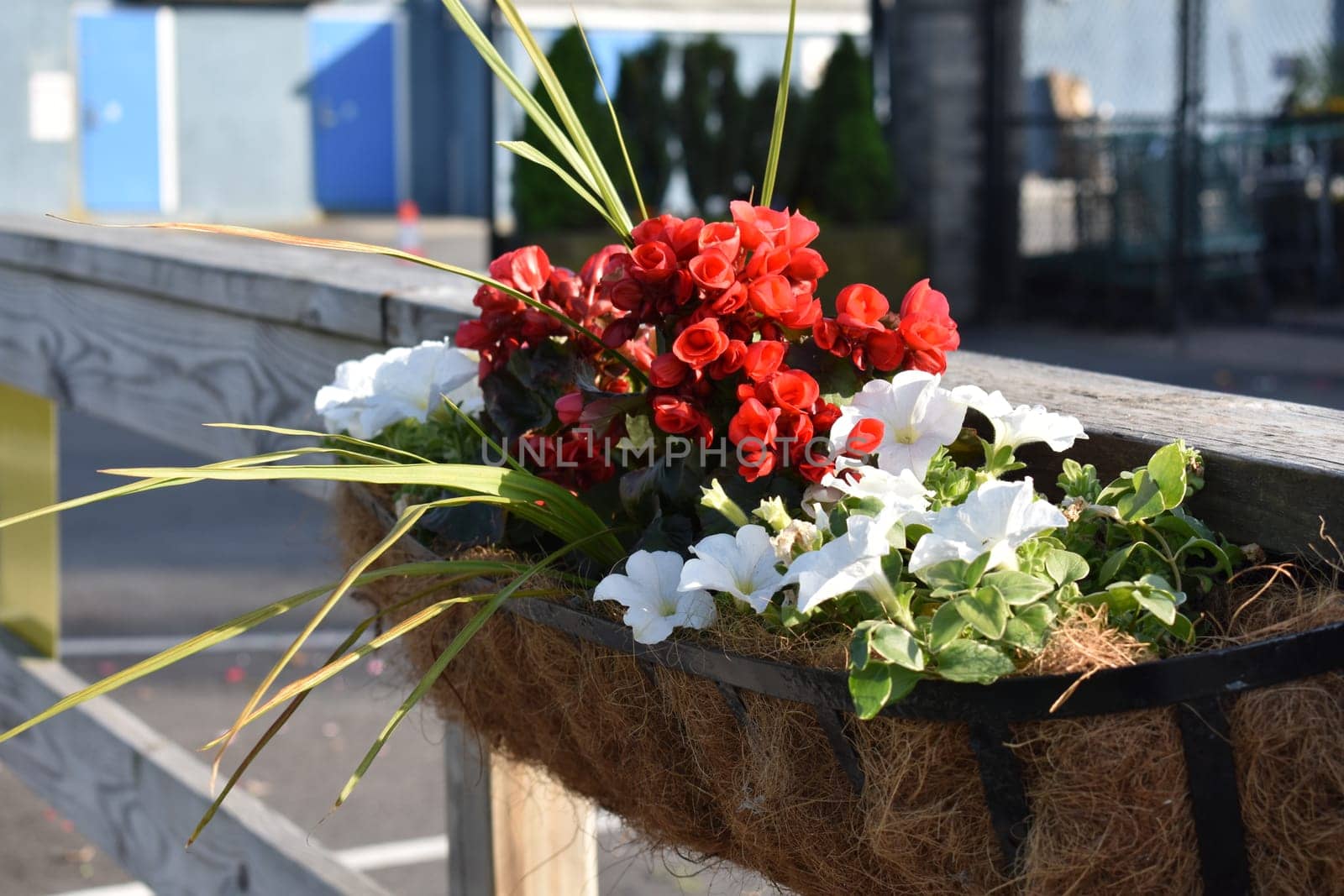 Hanging Flower Basket Planter on Fence in New York City. High quality photo