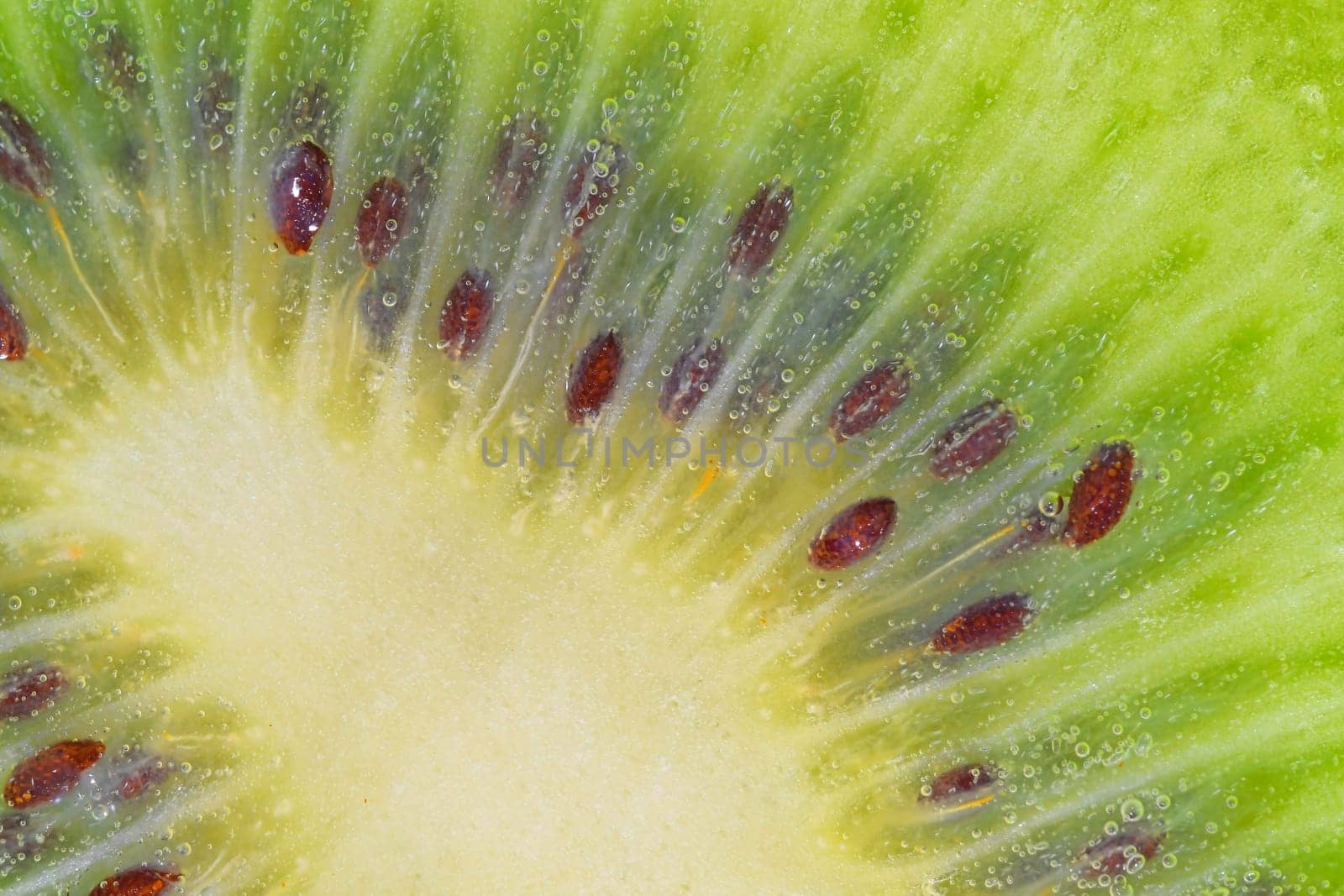 Slice of ripe kiwi fruit in water. Close-up of kiwi fruit in liquid with bubbles. Slice of ripe kiwi in sparkling water. Macro image of fruit in carbonated water. by roman_nerud