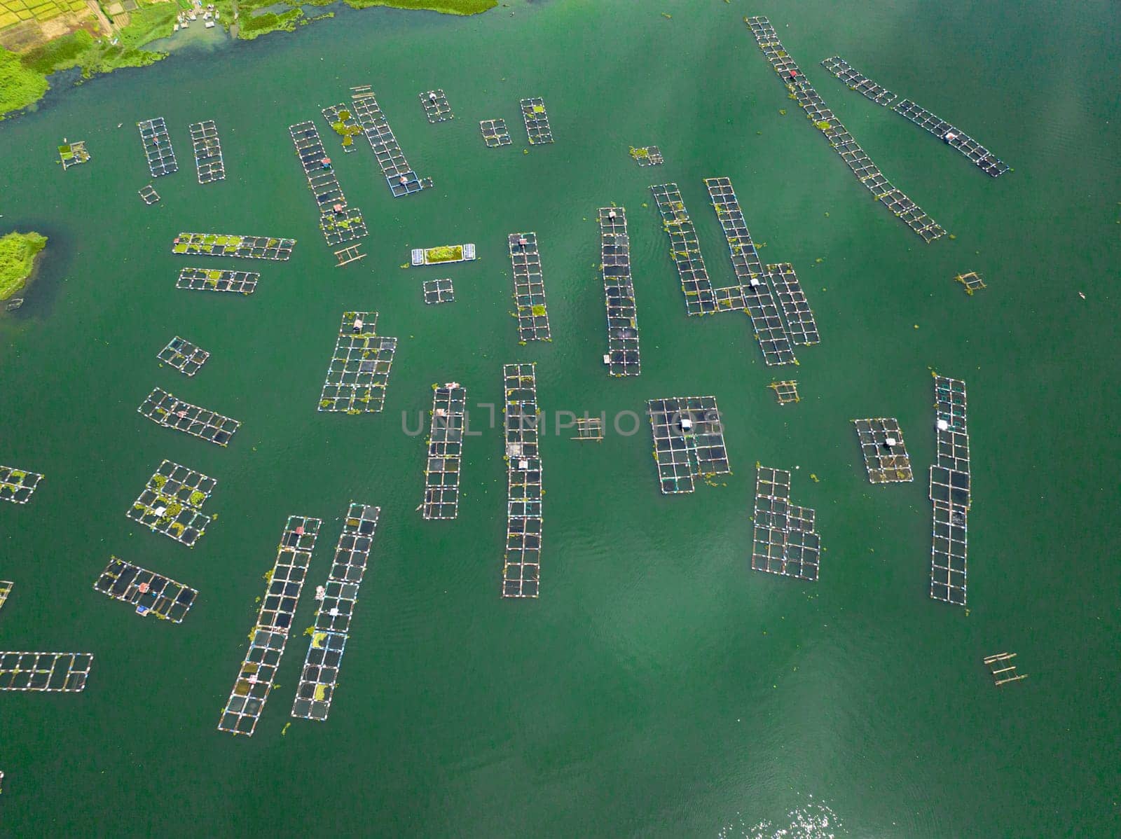 Farmland and fish farm on Lake Maninjau. Agriculture in the mountains of Sumatra. Indonesia.