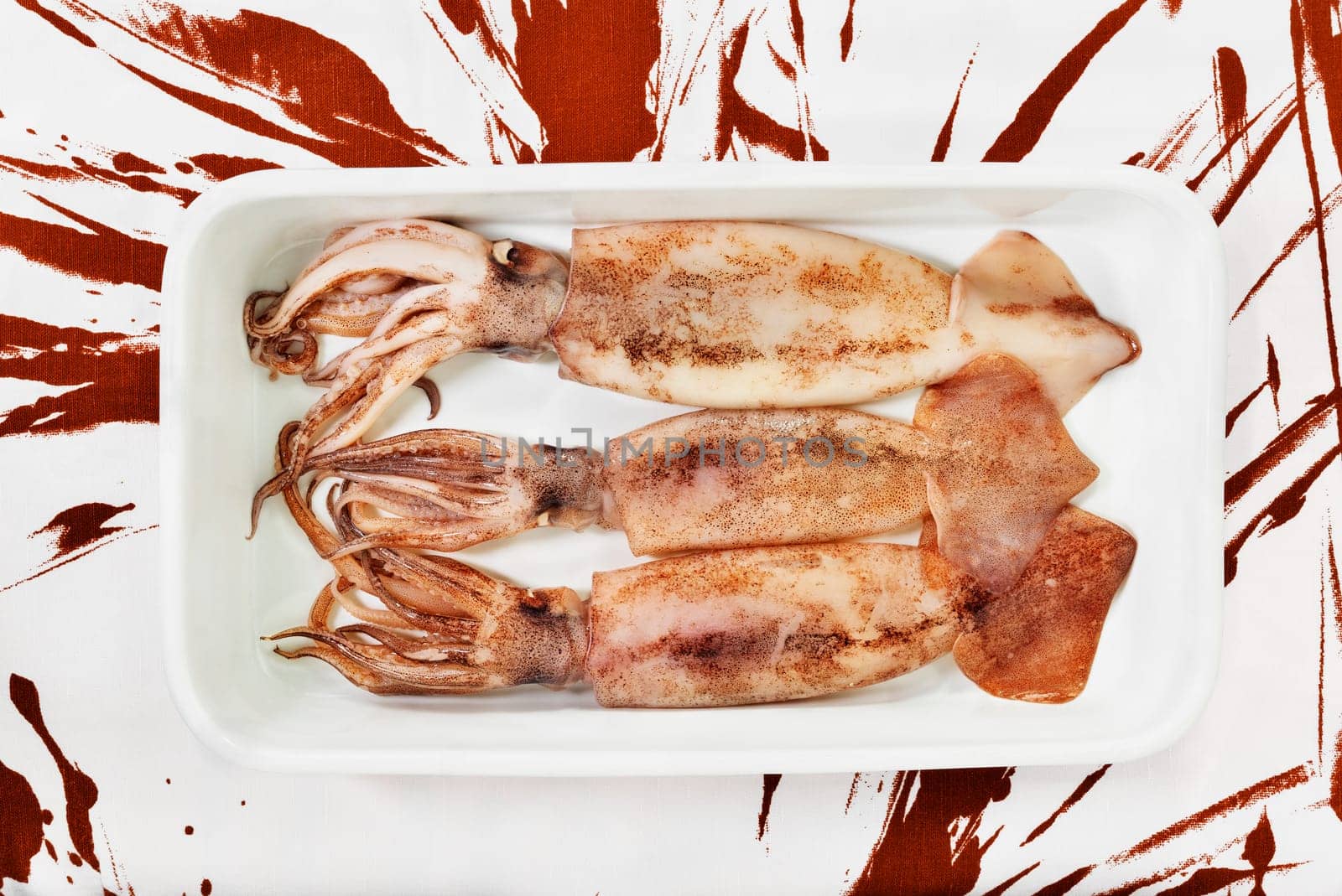 Uncooked  squid fish in plate by victimewalker