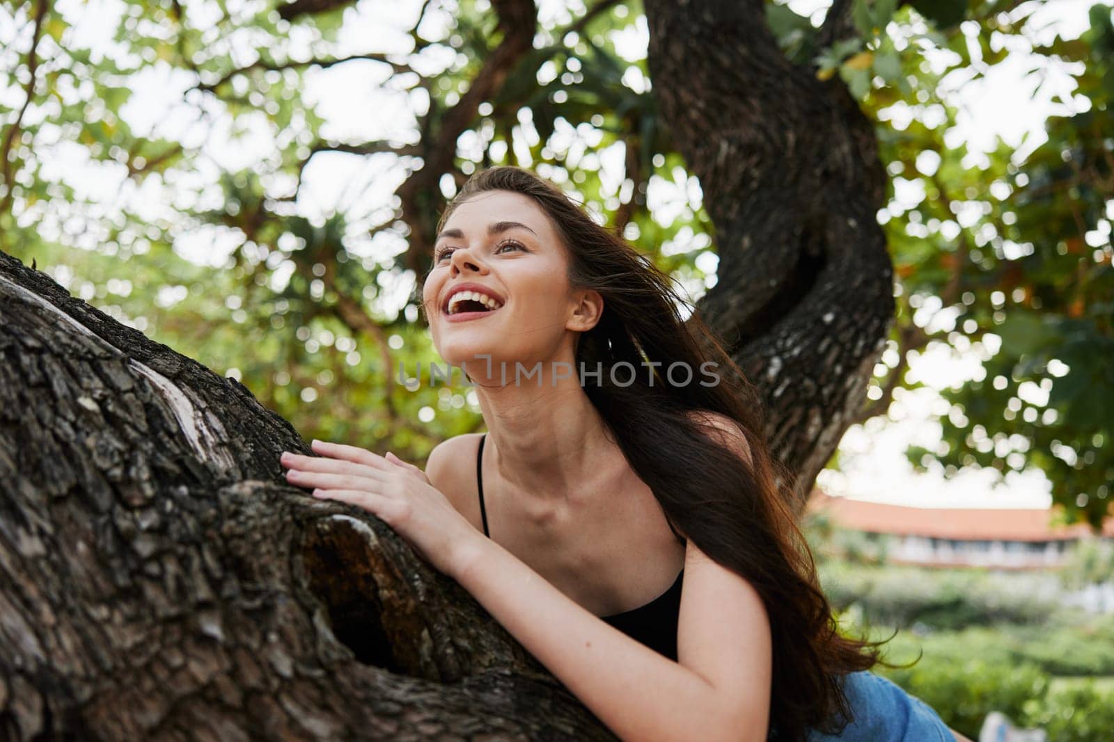 sky woman lifestyle sitting sea freedom smiling hill trunk person beauty looking beautiful bikini nature silhouette tree paradise yoga vacation relax