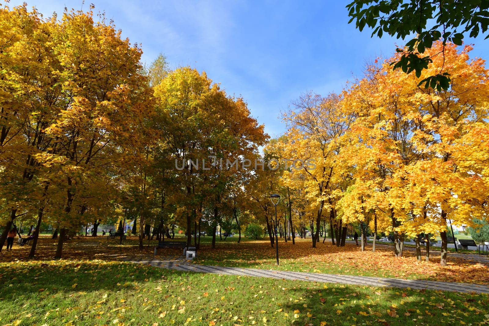 Moscow, Russia - October 2. 2021. autumn in a boulevard in Zelenograd