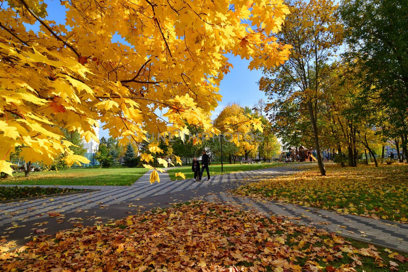 Moscow, Russia - October 2. 2021. autumn in a boulevard in Zelenograd