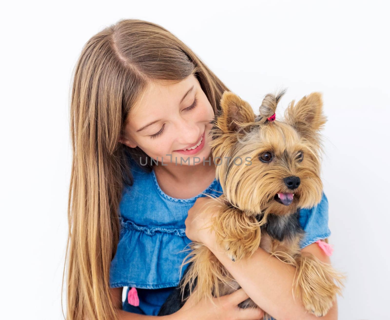 Tender hug of dog by friendly owner, isolated on white background