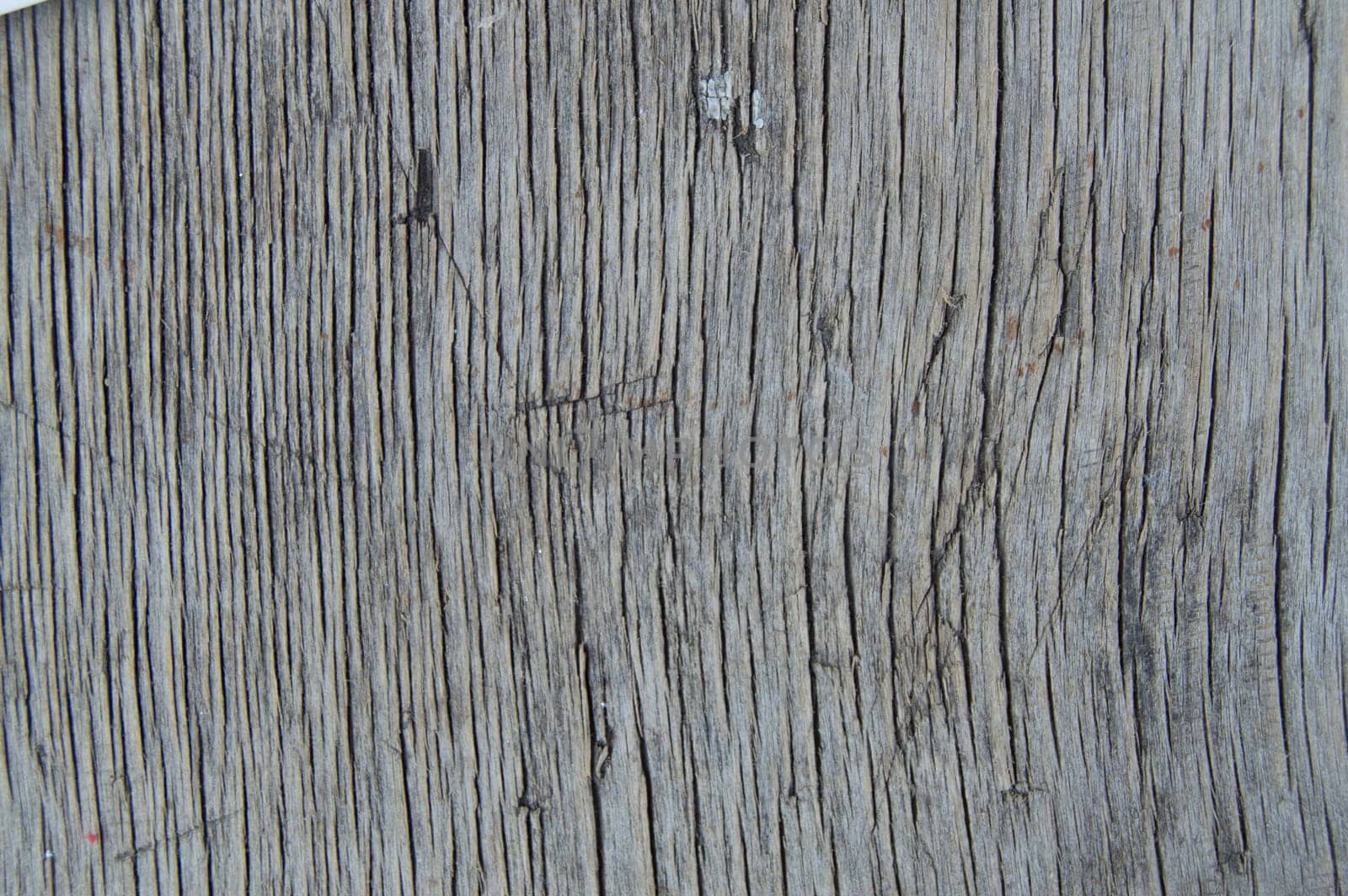 background old cracked plywood color nature pattern detail of pine wood texture wall.