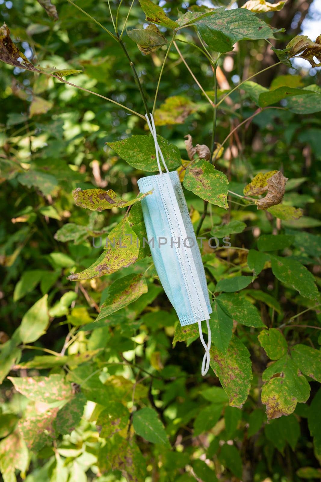 People litter the garbage with used medical masks, throw into the cracks of the bushes, hazardous waste, risk of disease, spread of germs, Covid-19, influenza, influenza virus