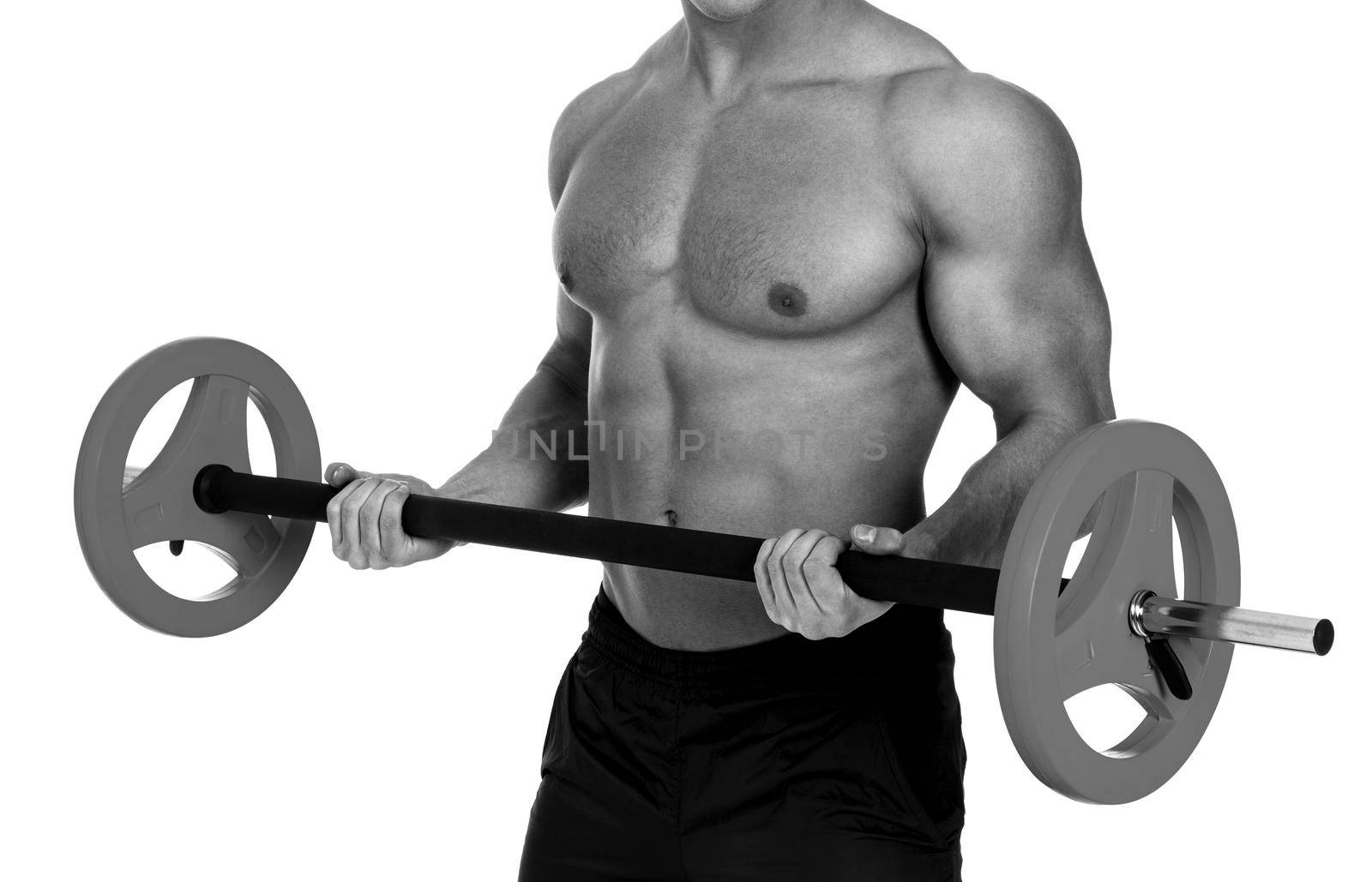 muscular male lifting barbell, isolated on white background by Nobilior
