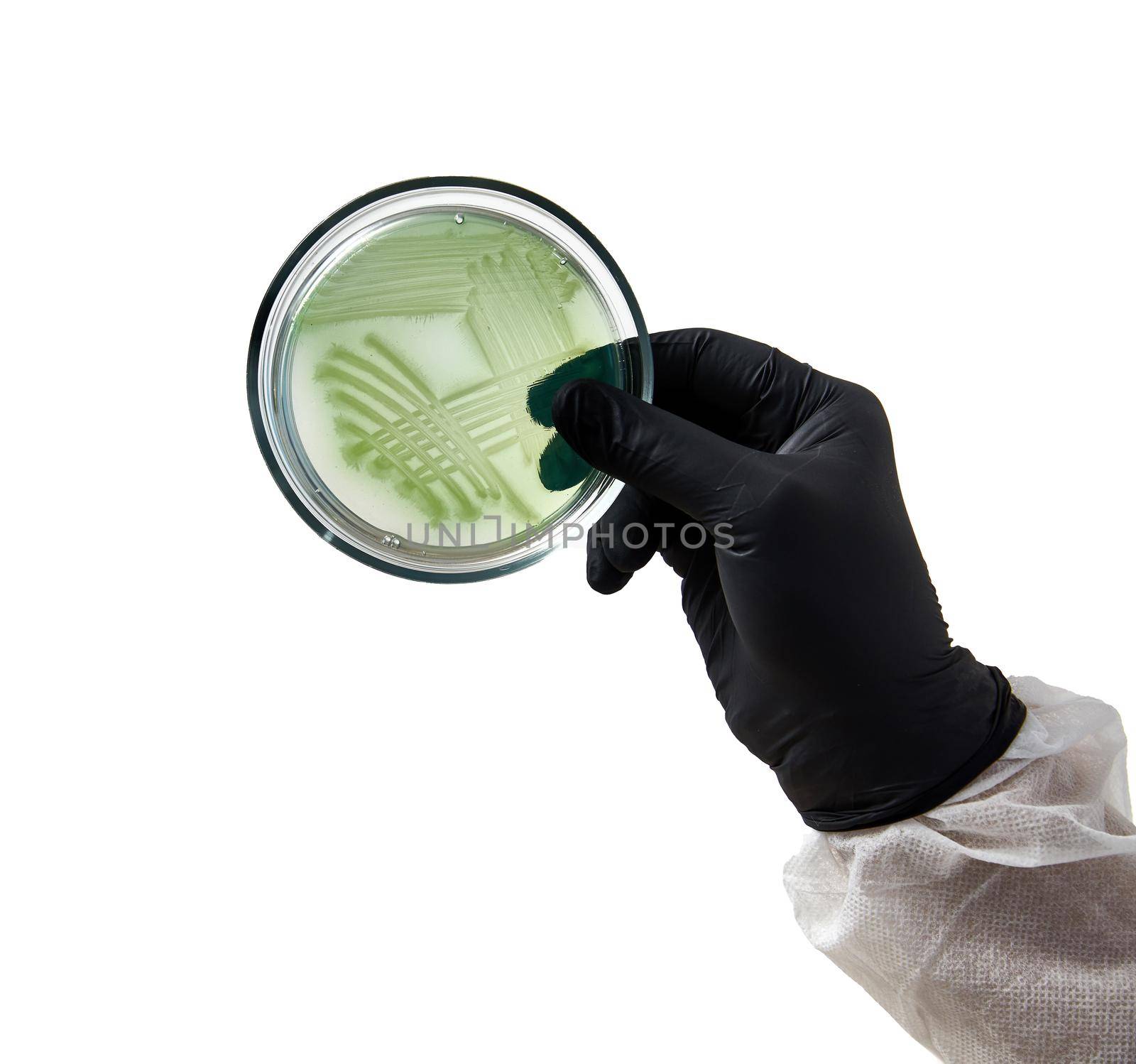 chemist wearing gloves at laboratory. testing process with glass plate and sample. viruses and health care concept. High quality photo