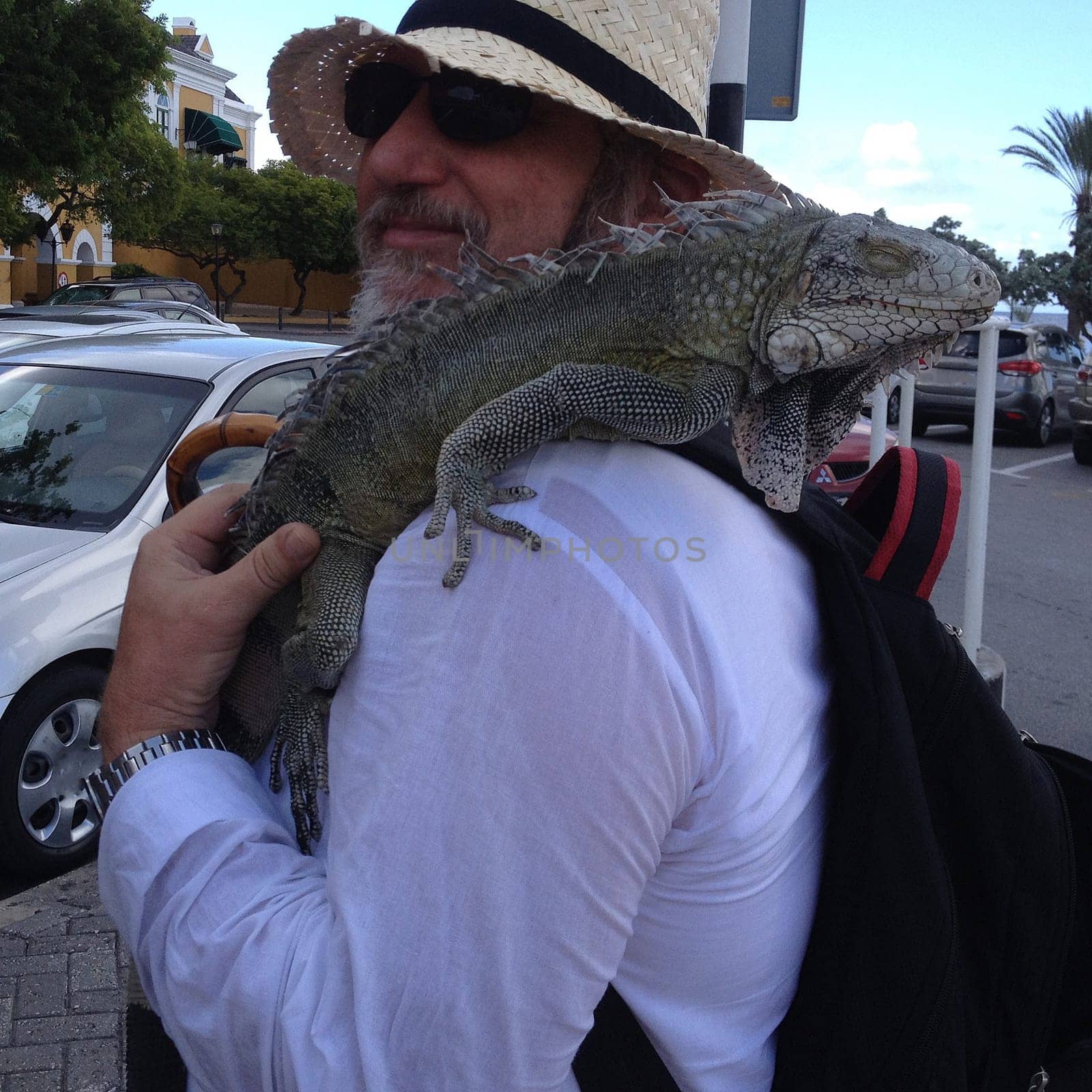 A tourist attraction on Curacao. Being photographed with an iguana. This elderly tourist enjoys the situation. A very temporary friendship between human and animal.