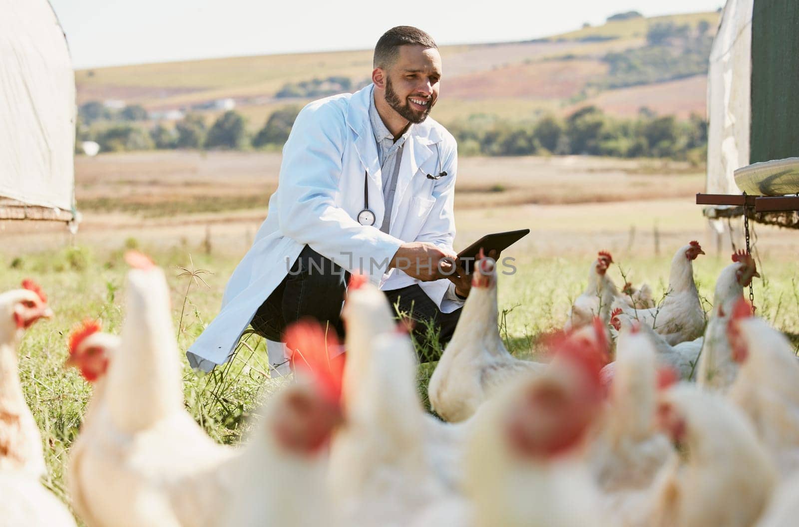 Man, veterinary or tablet on chicken farm for healthcare wellness, bird flu compliance or growth hormone research. Smile, happy or animals doctor with poultry, 5g digital technology or eggs farming.