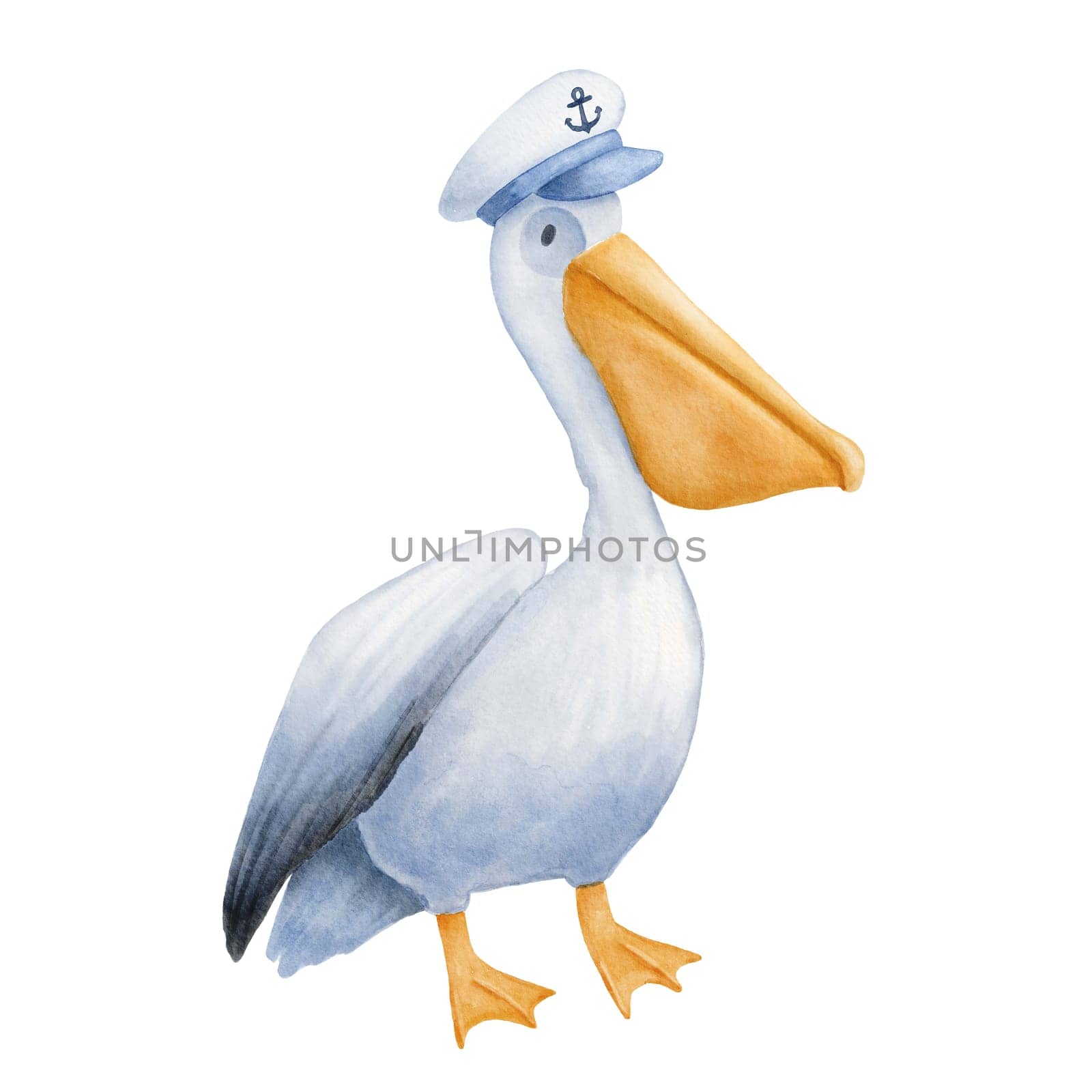 Cute watercolor pelican with captain hat character isolated on white. Hand drawn nautical childish illustration by ElenaPlatova