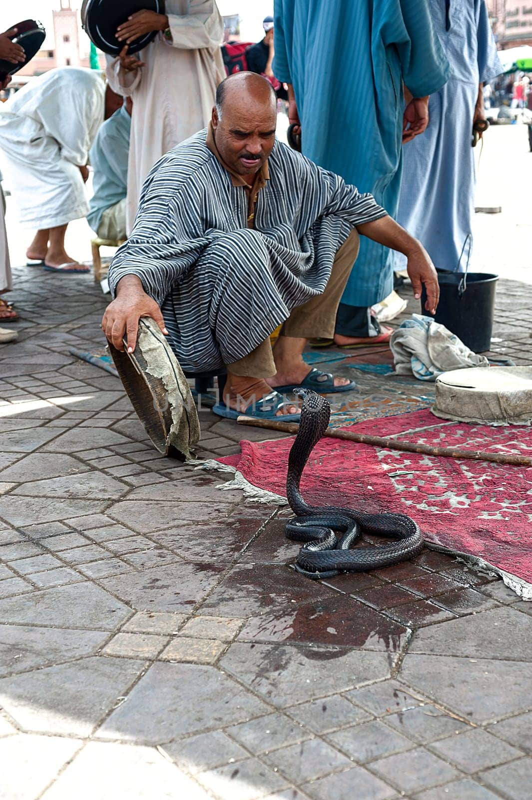 Snake charmer in Marrakesh, Morocco by Giamplume