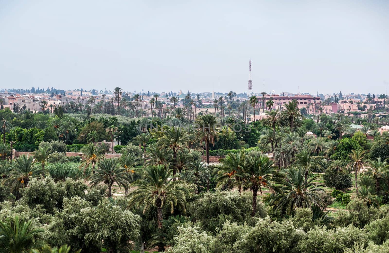 marrakech morocco rooftop view