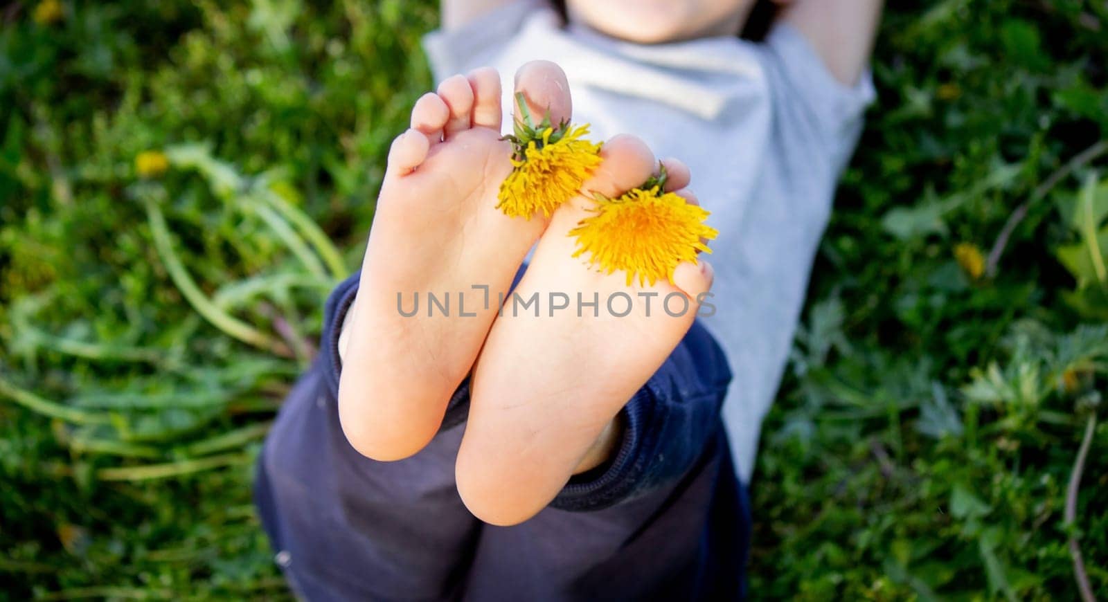 Dandelion baby legs, spring sunny weather. by Anuta23