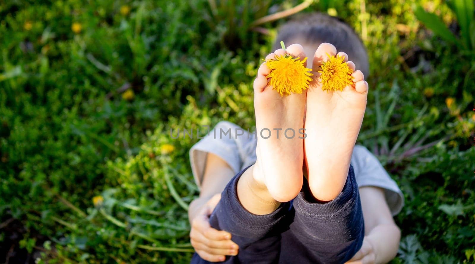 Dandelion baby legs, spring sunny weather. selective focus