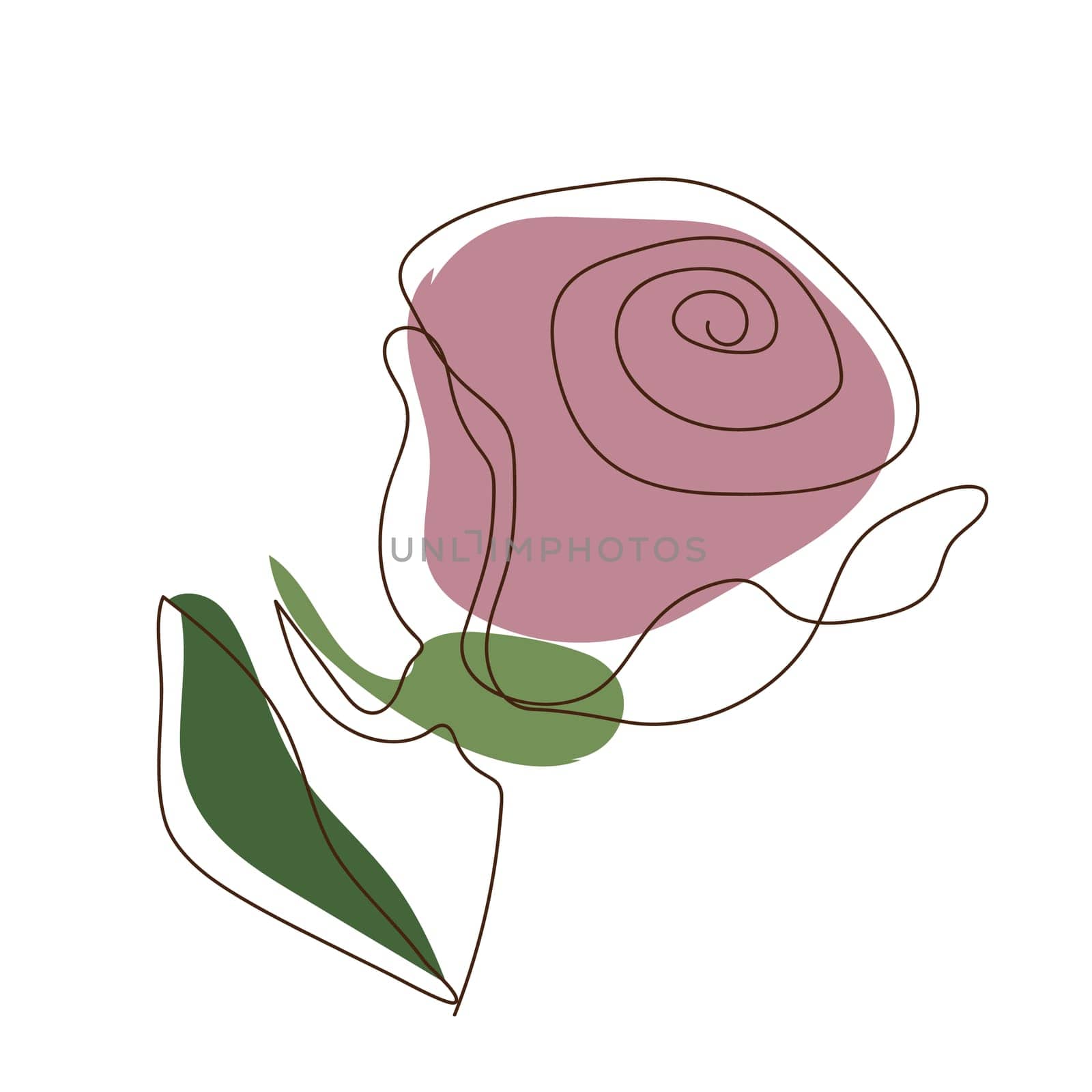 rose flower in soft pink tones