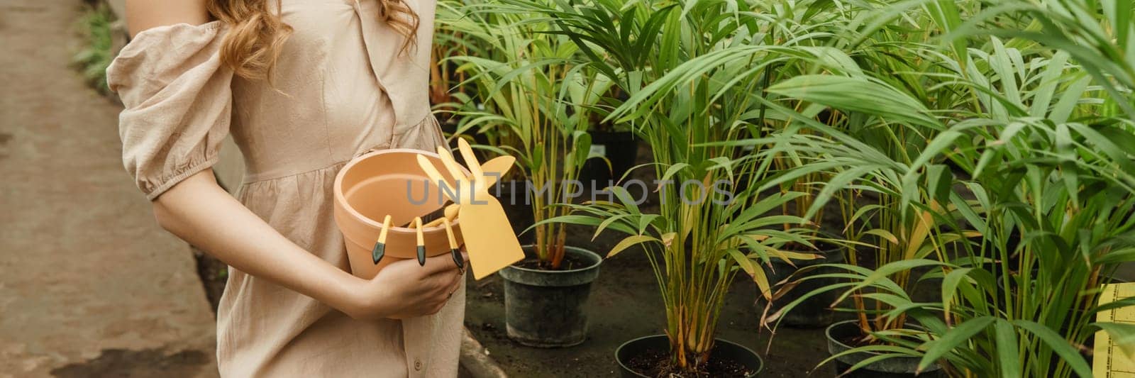 A beautiful young woman takes care of plants in a greenhouse. The concept of gardening and an eco-friendly lifestyle. by Annu1tochka