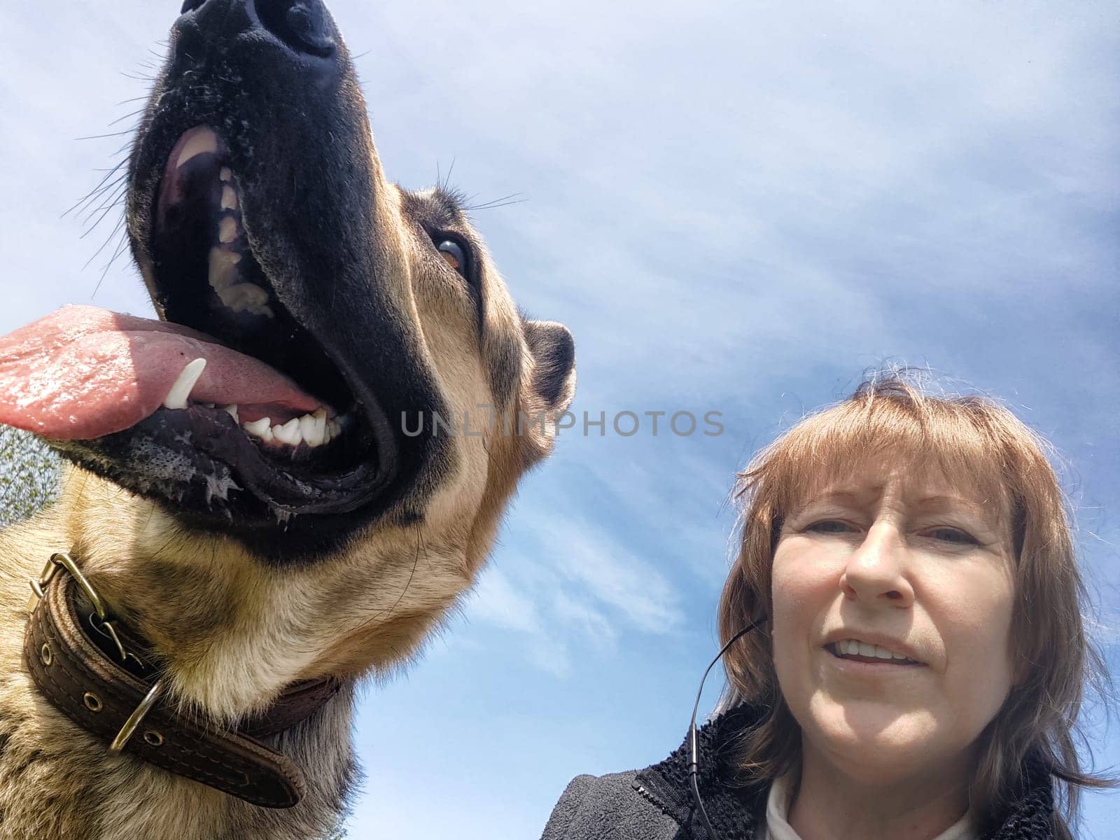 Girl and a dog in nature with trees in spring, summer or autumn. An adult woman and a large pet shepherd outdoors on a walk together