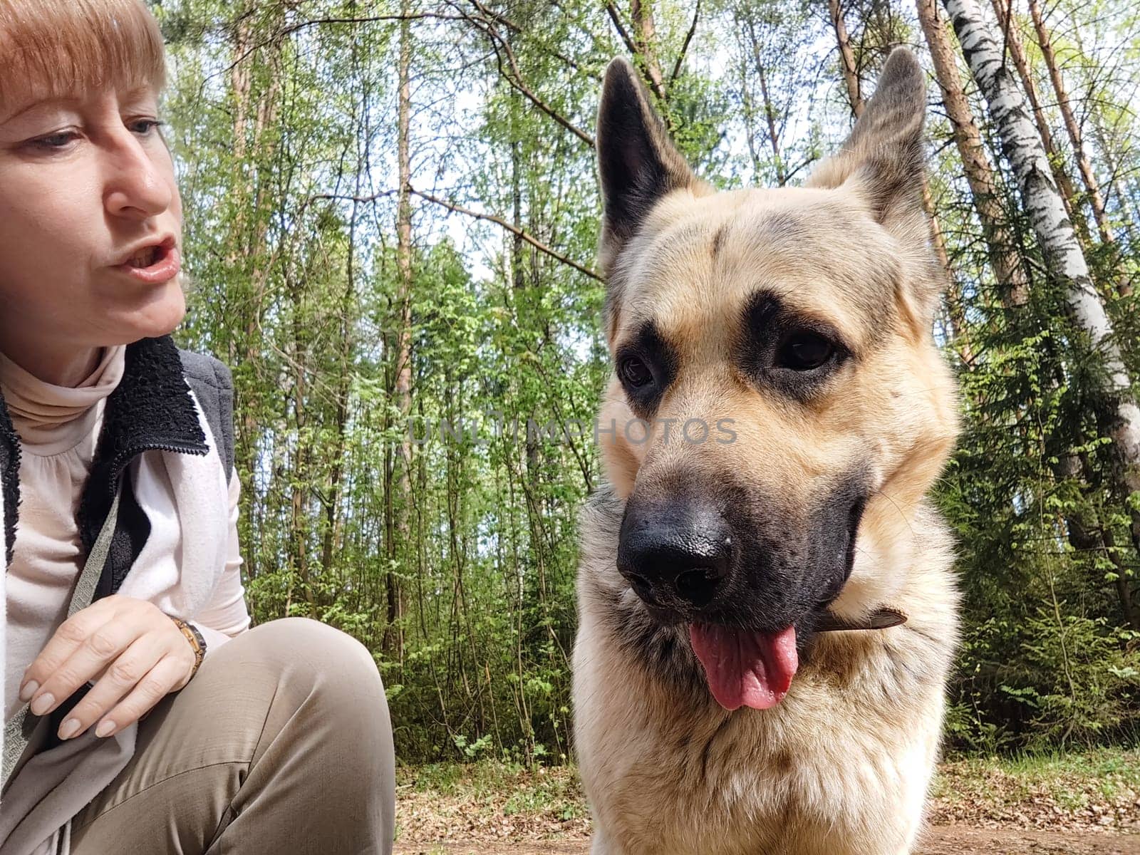 Girl and a dog in nature with trees in spring, summer or autumn. An adult woman and a large pet shepherd outdoors on a walk together