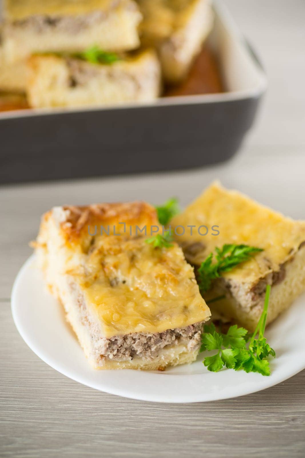 Cooked meat pie, pieces in a plate on a wooden table.