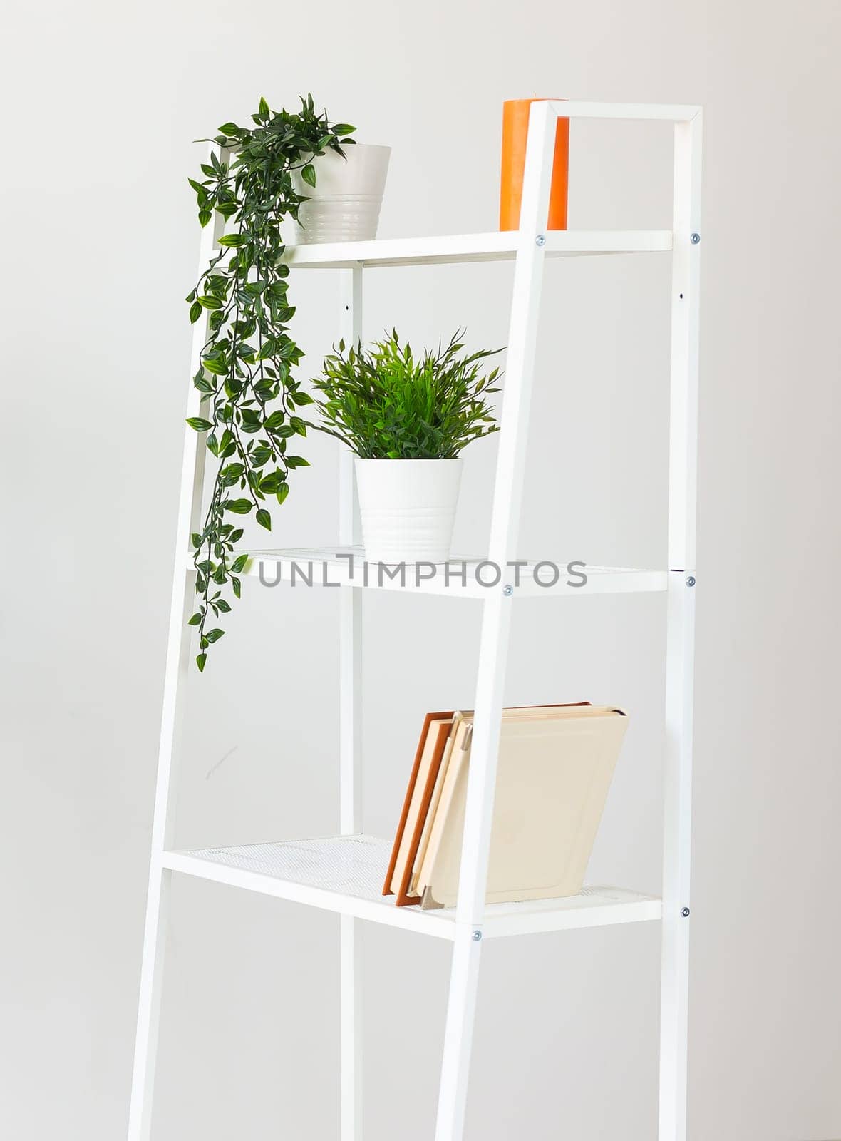 Shelf unit with books and decor artificial plant near white wall in room by Satura86