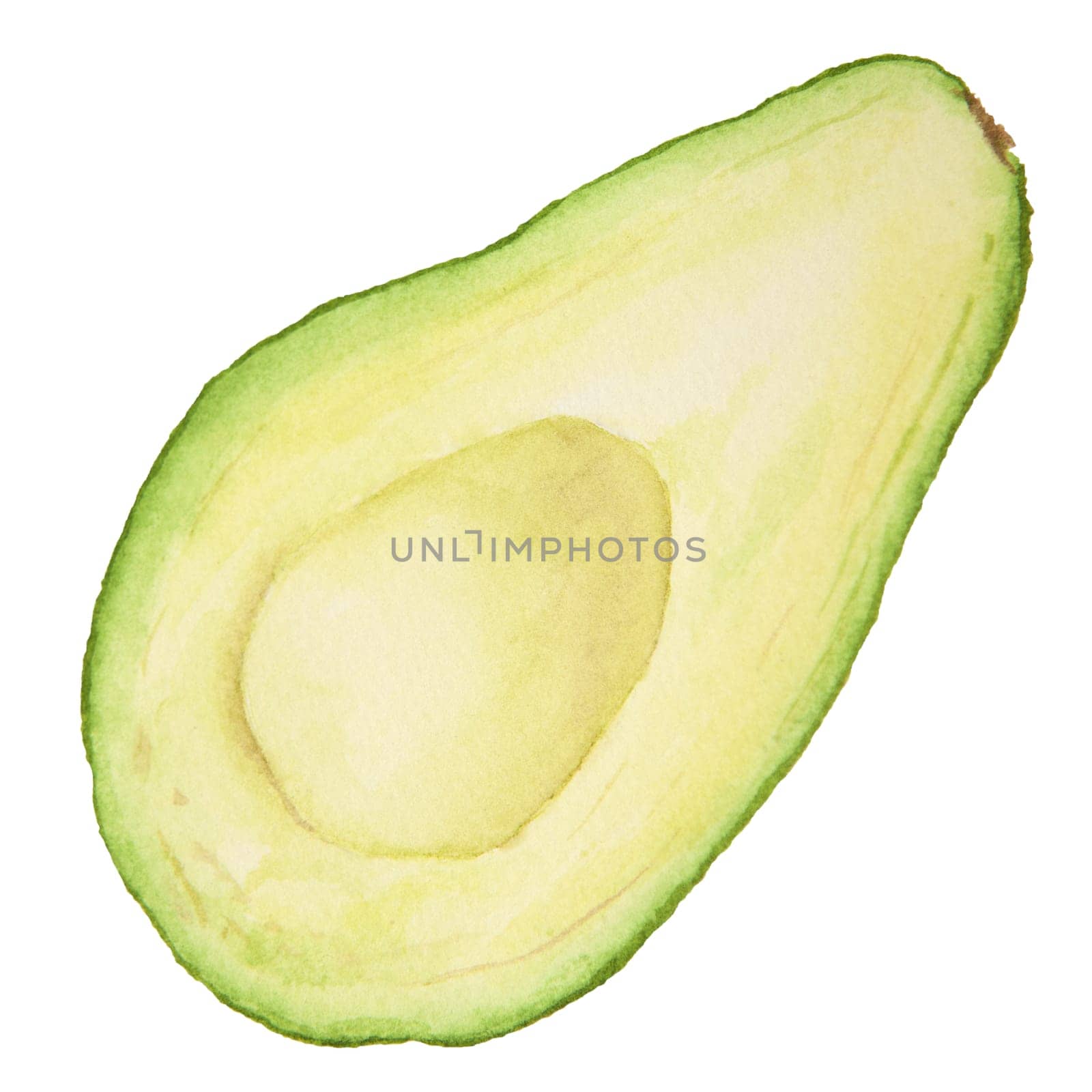Avocado half watercolor hand drawn realistic illustration. Green and fresh art of salad, sauce, guacamole, smoothie ingredient. For textile, menu, cards, paper, package, cooking books design