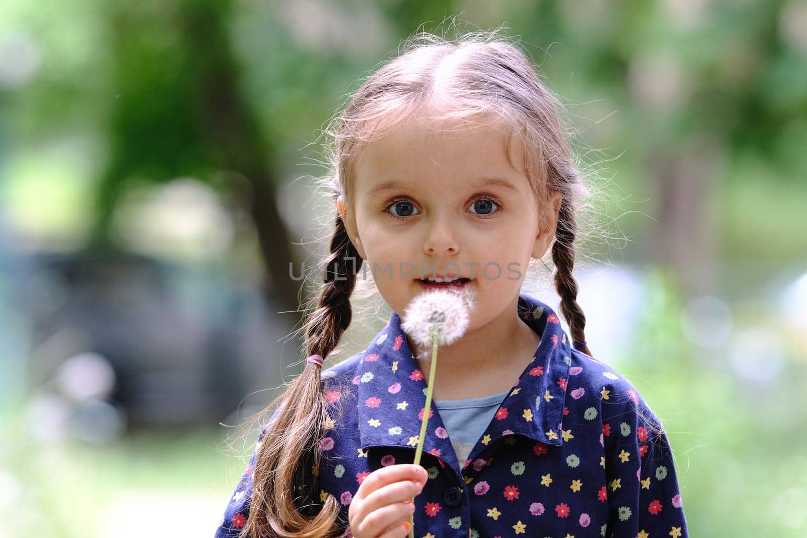 Portrait of a cute little girl who holds a dandelion in her hands.