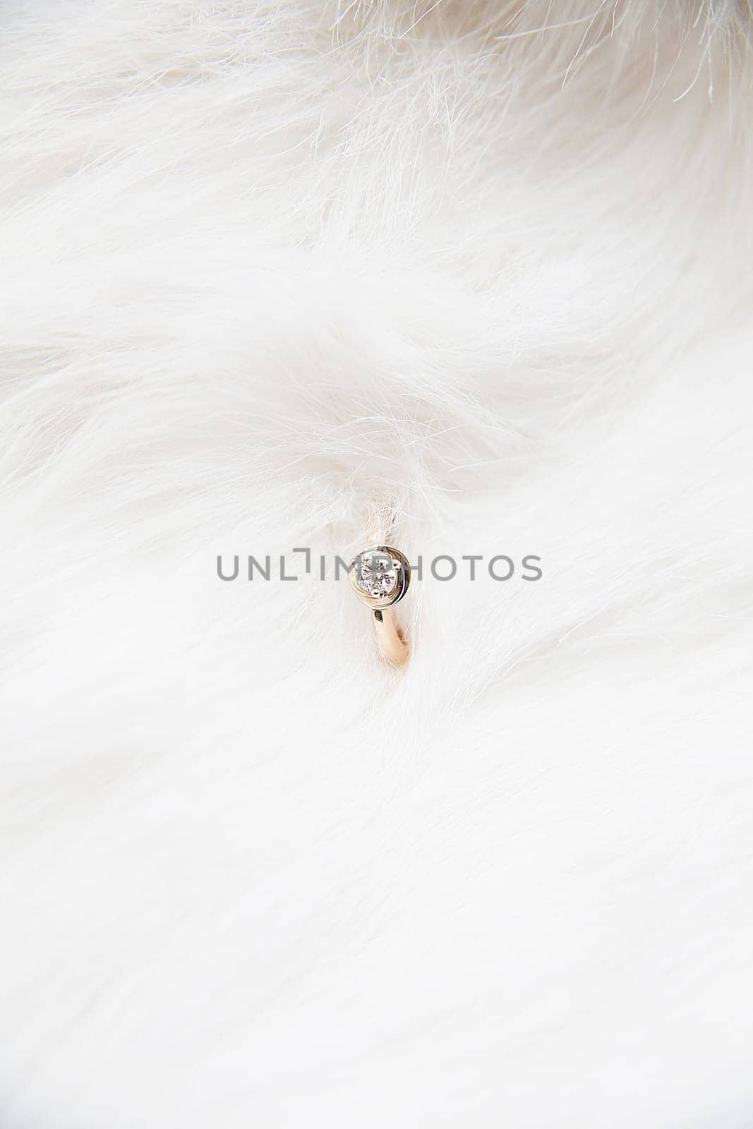 beautiful wedding ring on a white background.