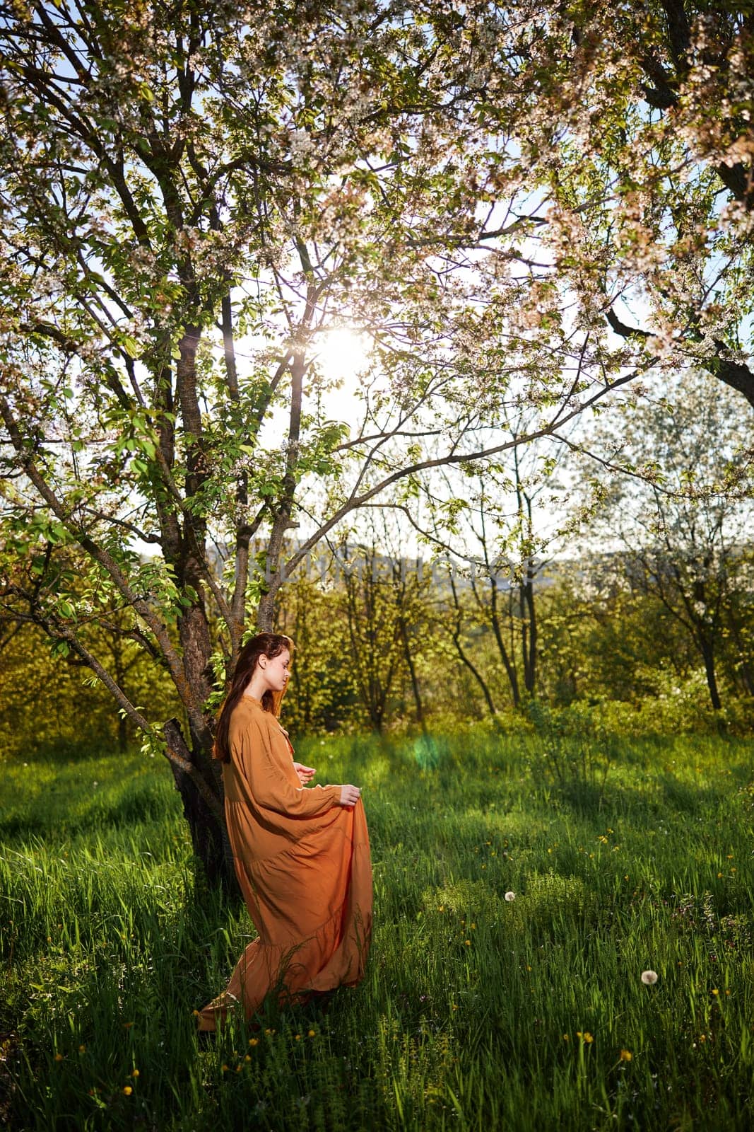 a sweet, modest, attractive woman with long red hair stands in the countryside near a flowering tree and lifts the hem of her dress up. High quality photo