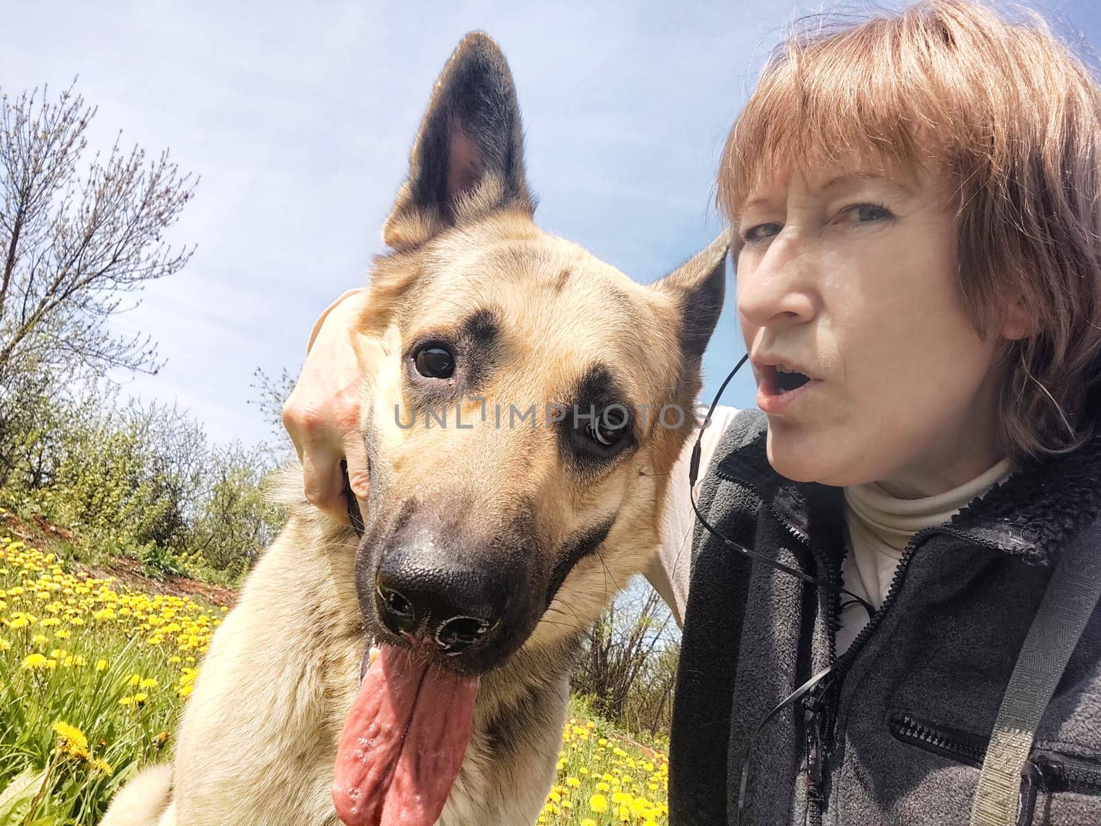 A girl and a dog in nature with trees in spring, summer or autumn. An adult woman and a large pet shepherd outdoors on a walk together by keleny