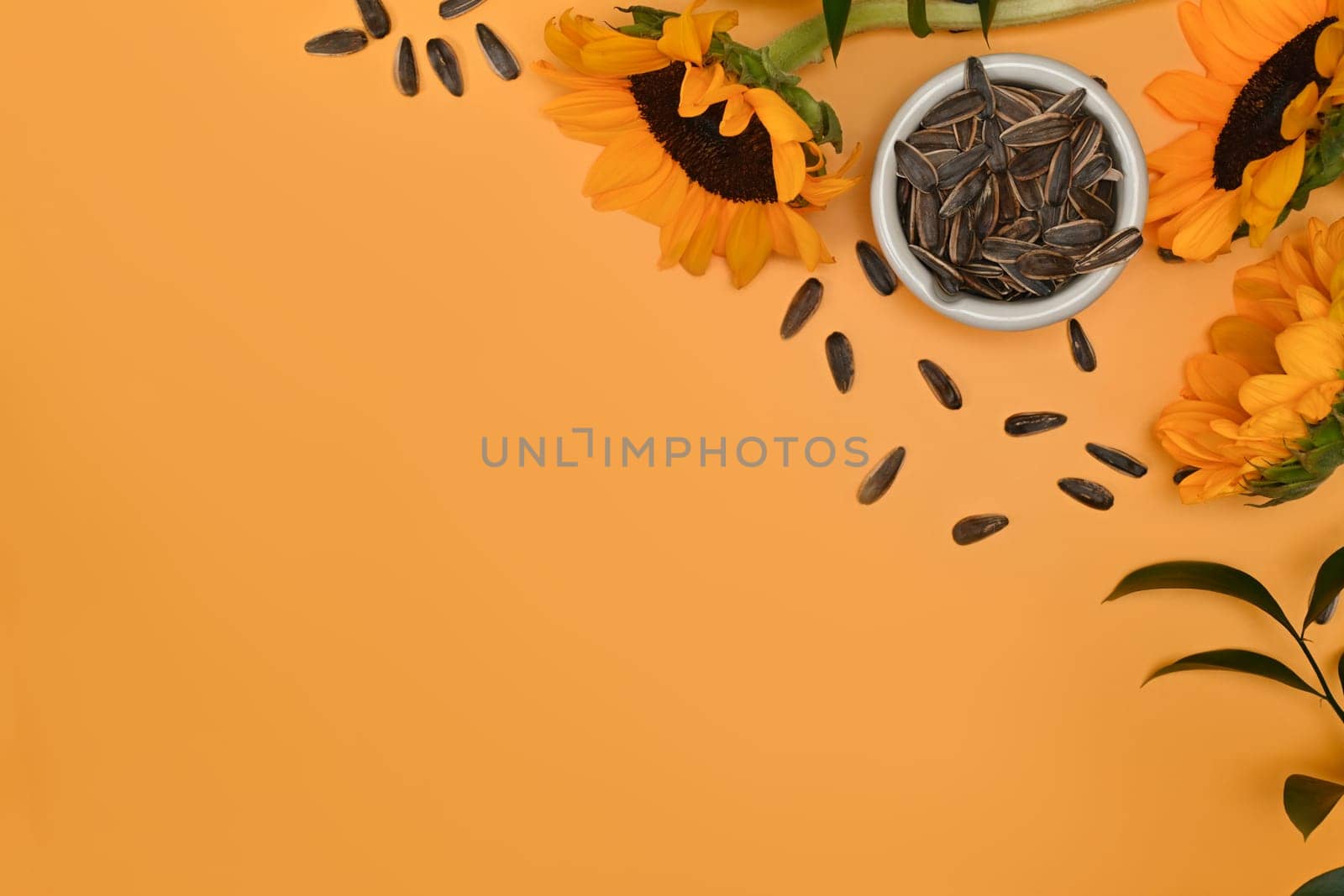 Sunflower seeds in blow on yellow background with space for your text. Organic product and vegan food concept by prathanchorruangsak