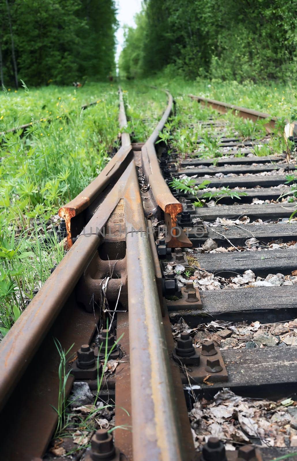 An abandoned old railway in the middle of the forest