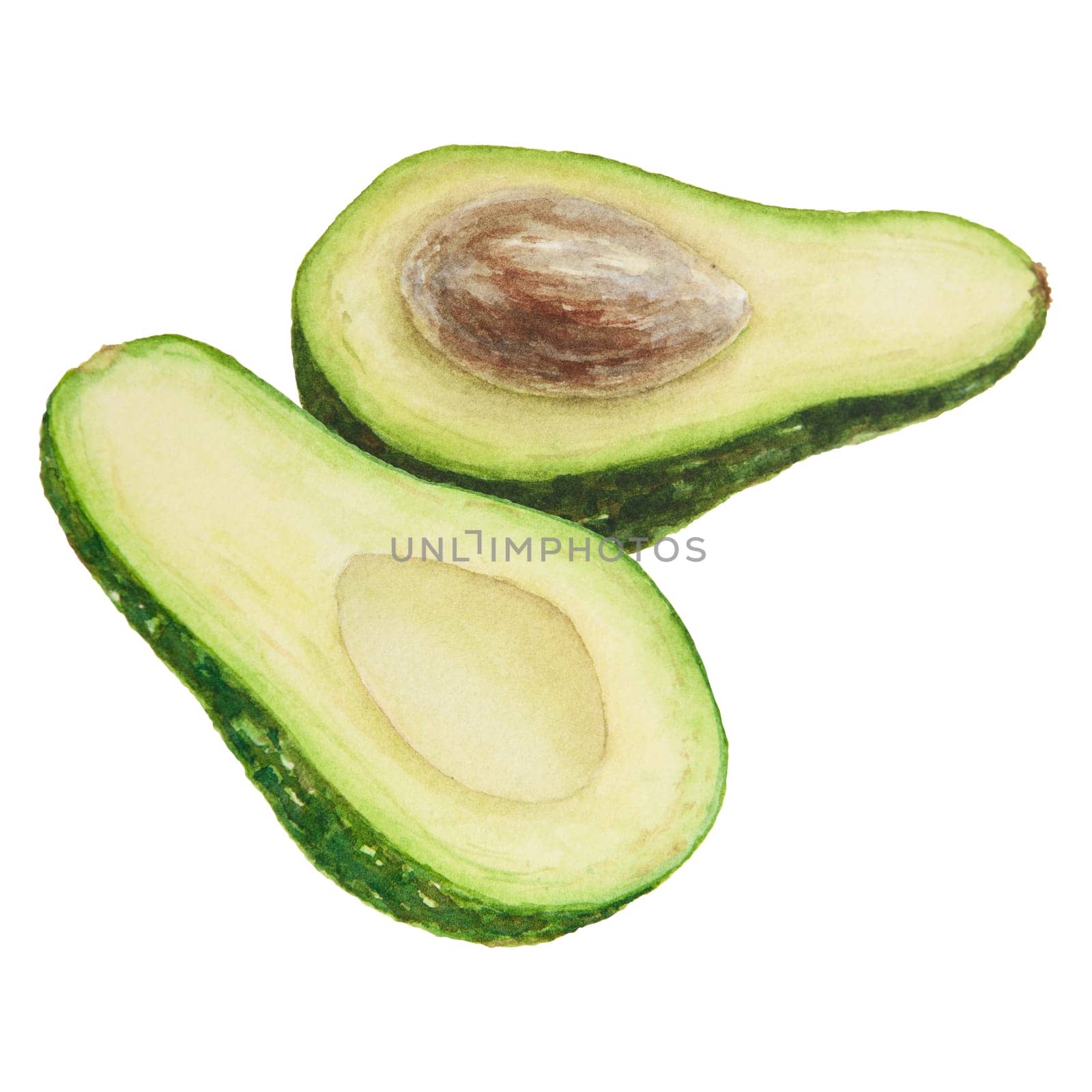 Avocado halves watercolor hand drawn realistic illustration. Green and fresh art of salad, sauce, guacamole, smoothie ingredient. For textile, menu, cards, paper, package, cooking books design