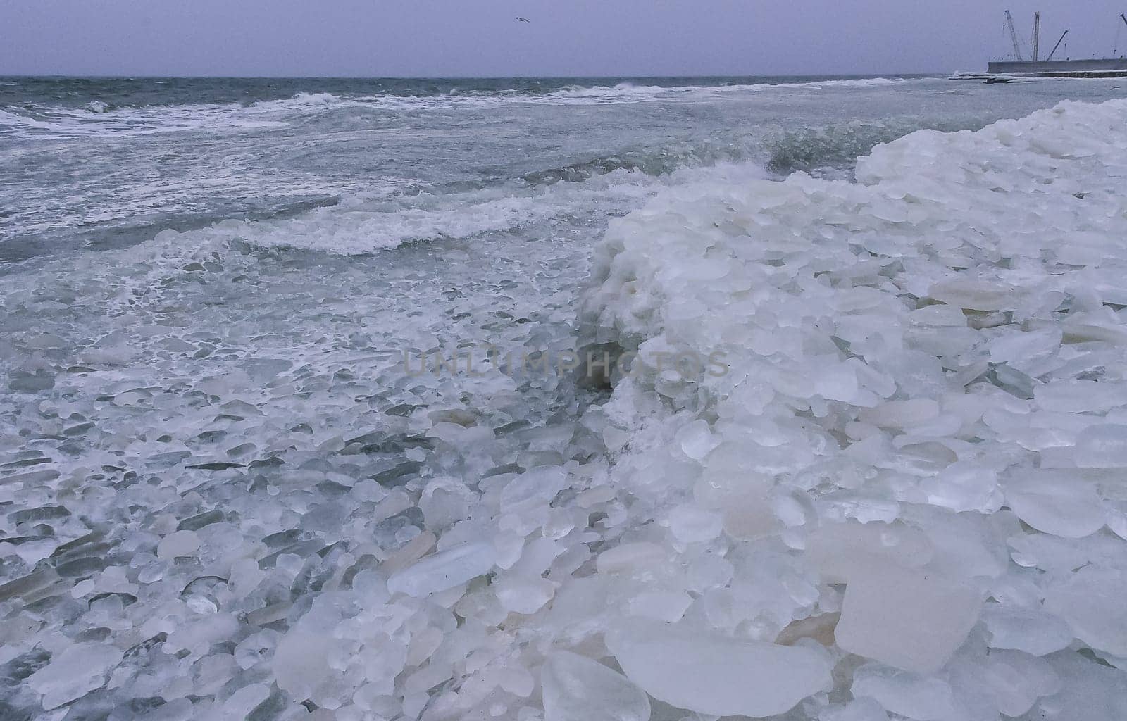 Round and pancaked ice near the shore of the frozen Black Sea, harsh winter of 2011