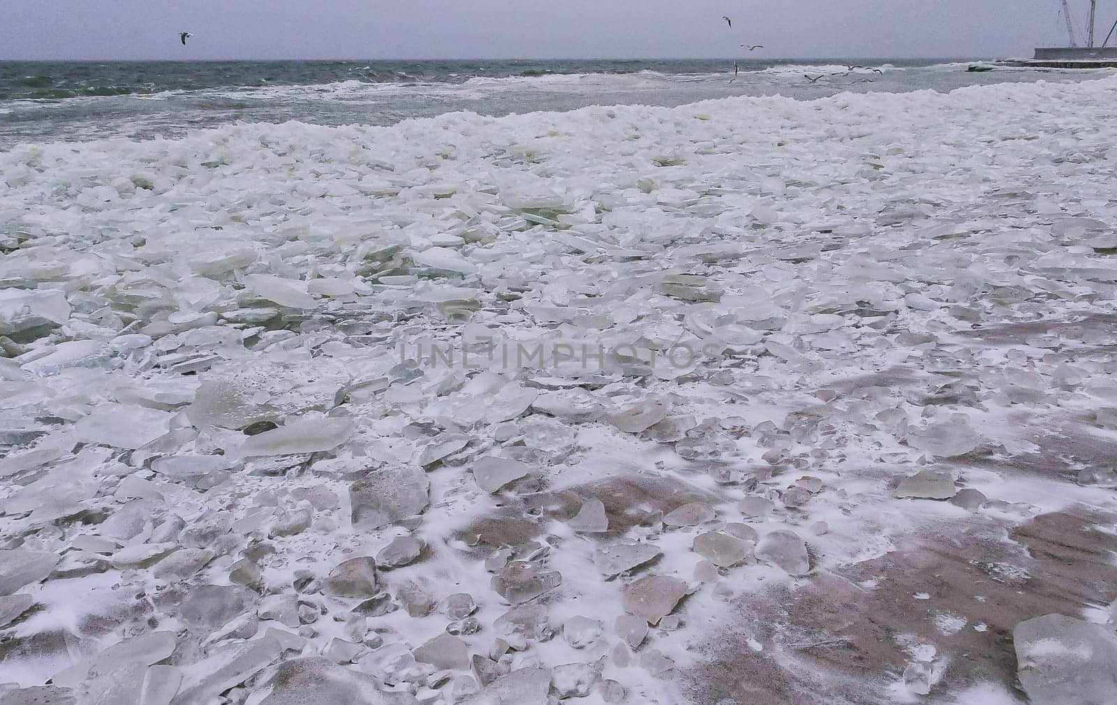 Round and pancaked ice near the shore of the frozen Black Sea, harsh winter of 2011 by Hydrobiolog