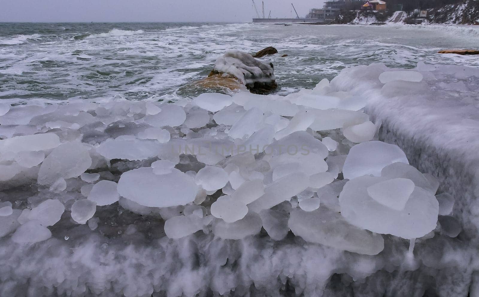 The Black Sea is frozen, the circular ice rolled by the waves is thrown ashore and frozen by Hydrobiolog