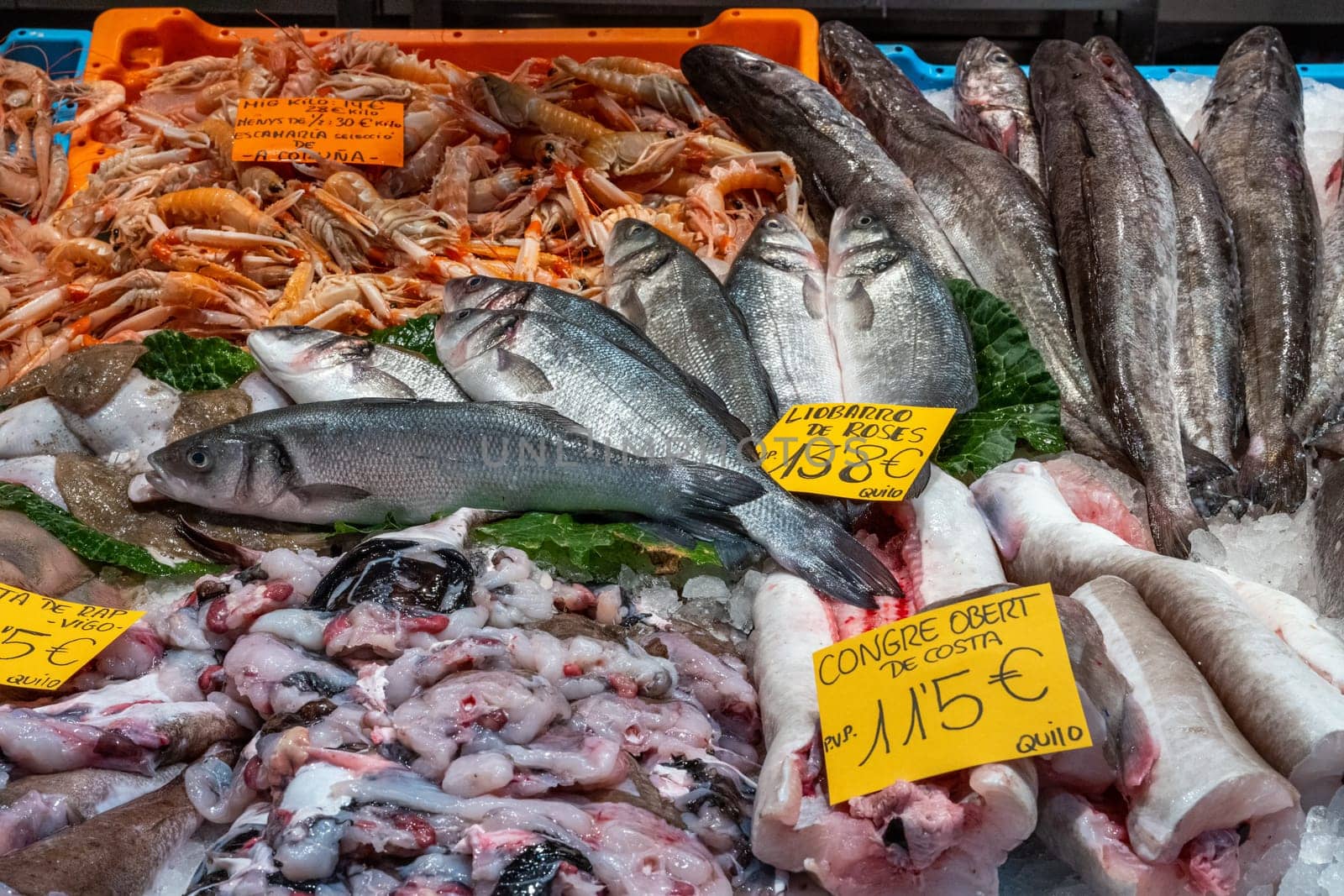 Catch of fish for sale at the Boqueria market in Barcelona