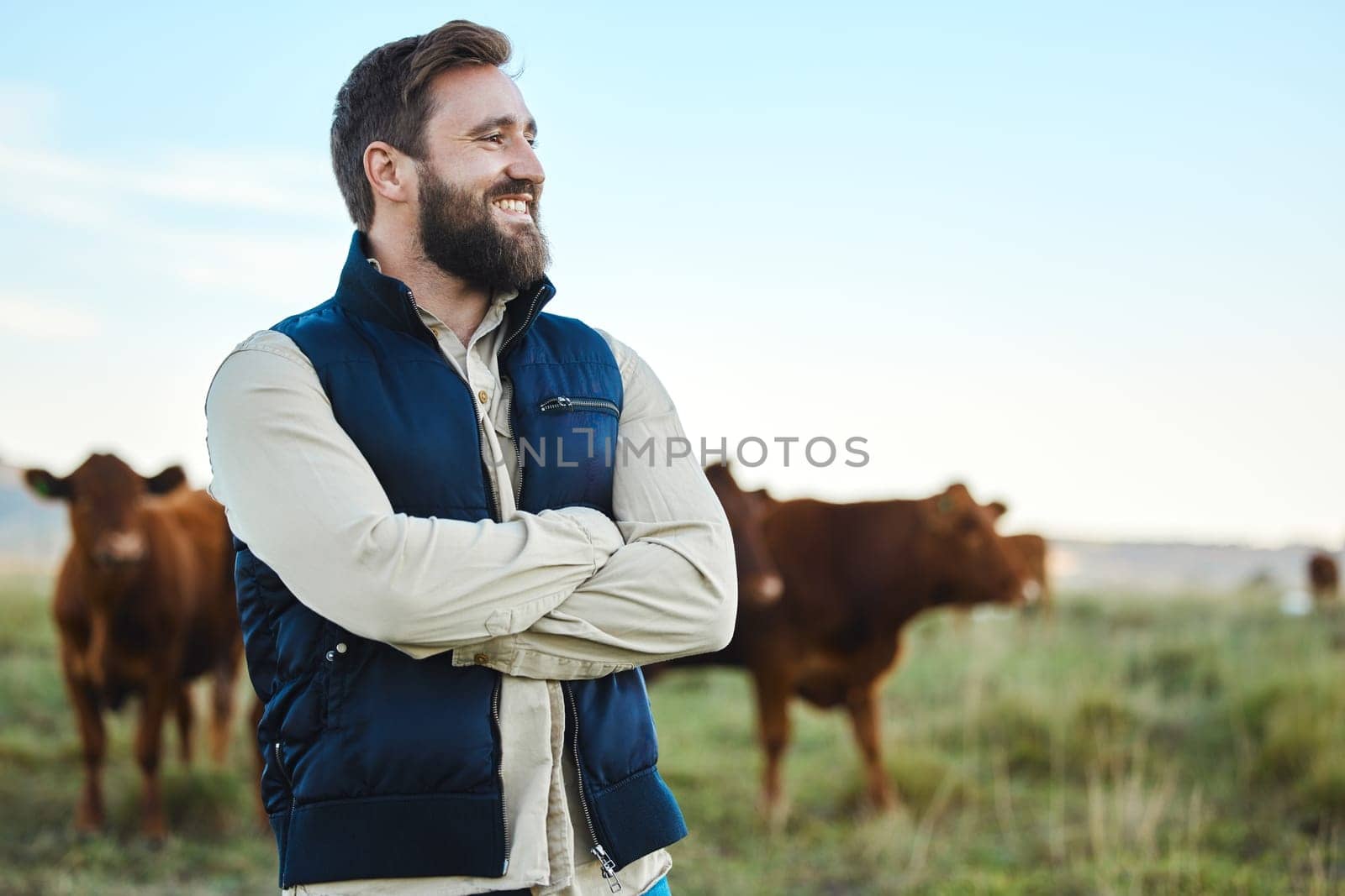 Smile, cow and agriculture with man on farm for sustainability, production or thinking industry growth. Agro, arms crossed or management of farmer on countryside field for dairy, animals for nature by YuriArcurs