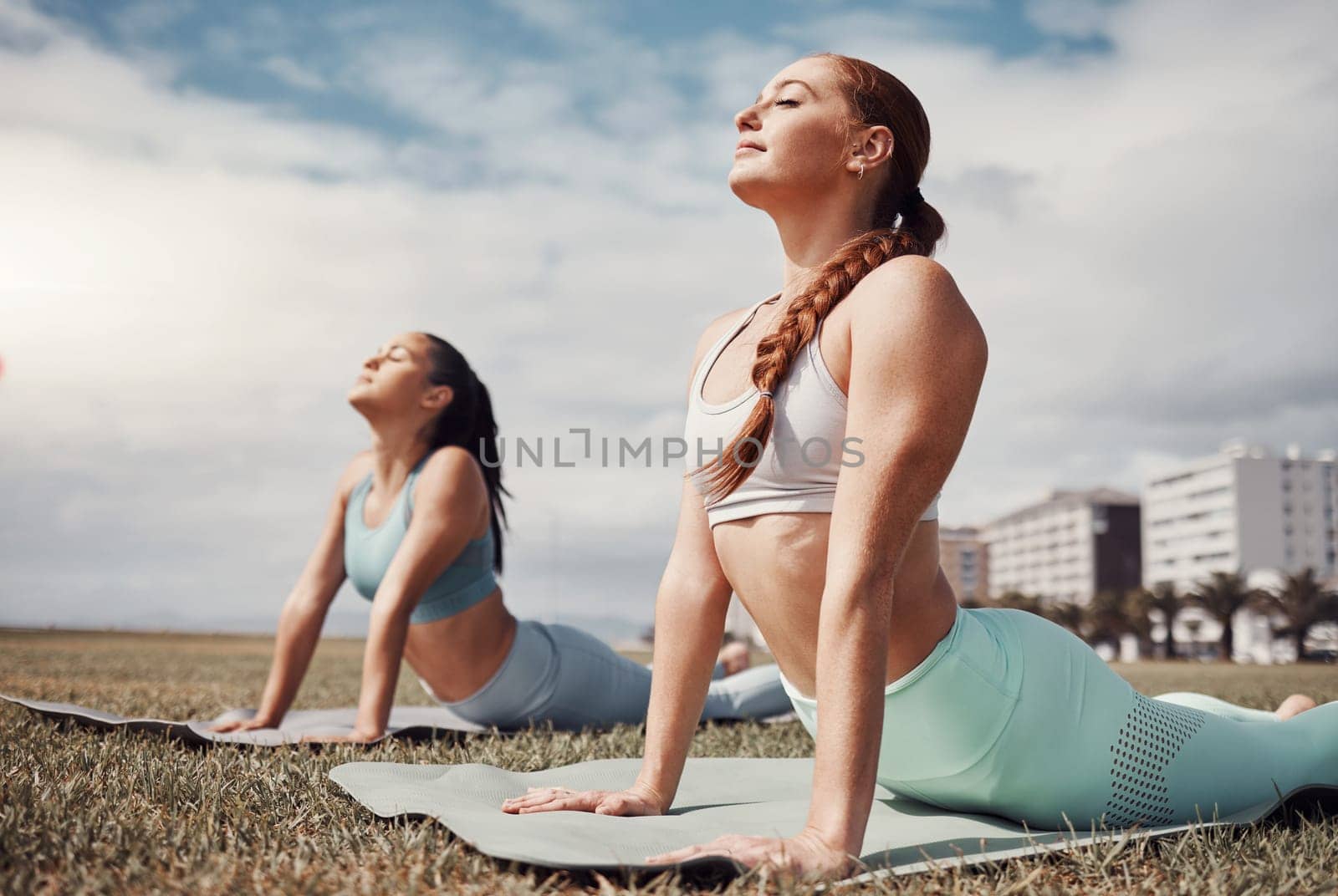 Yoga, fitness and mental health with woman friends in the park together for a wellness exercise. Exercise, zen and training with a female yogi and friend outside on a grass field for a summer workout.