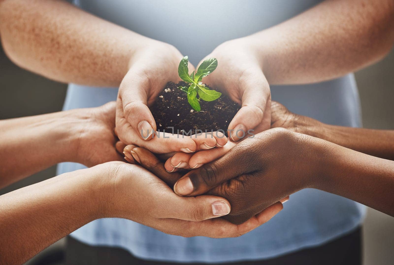 Growing a greener business. Shot of a group of hands holding a plant growing out of soil. by YuriArcurs
